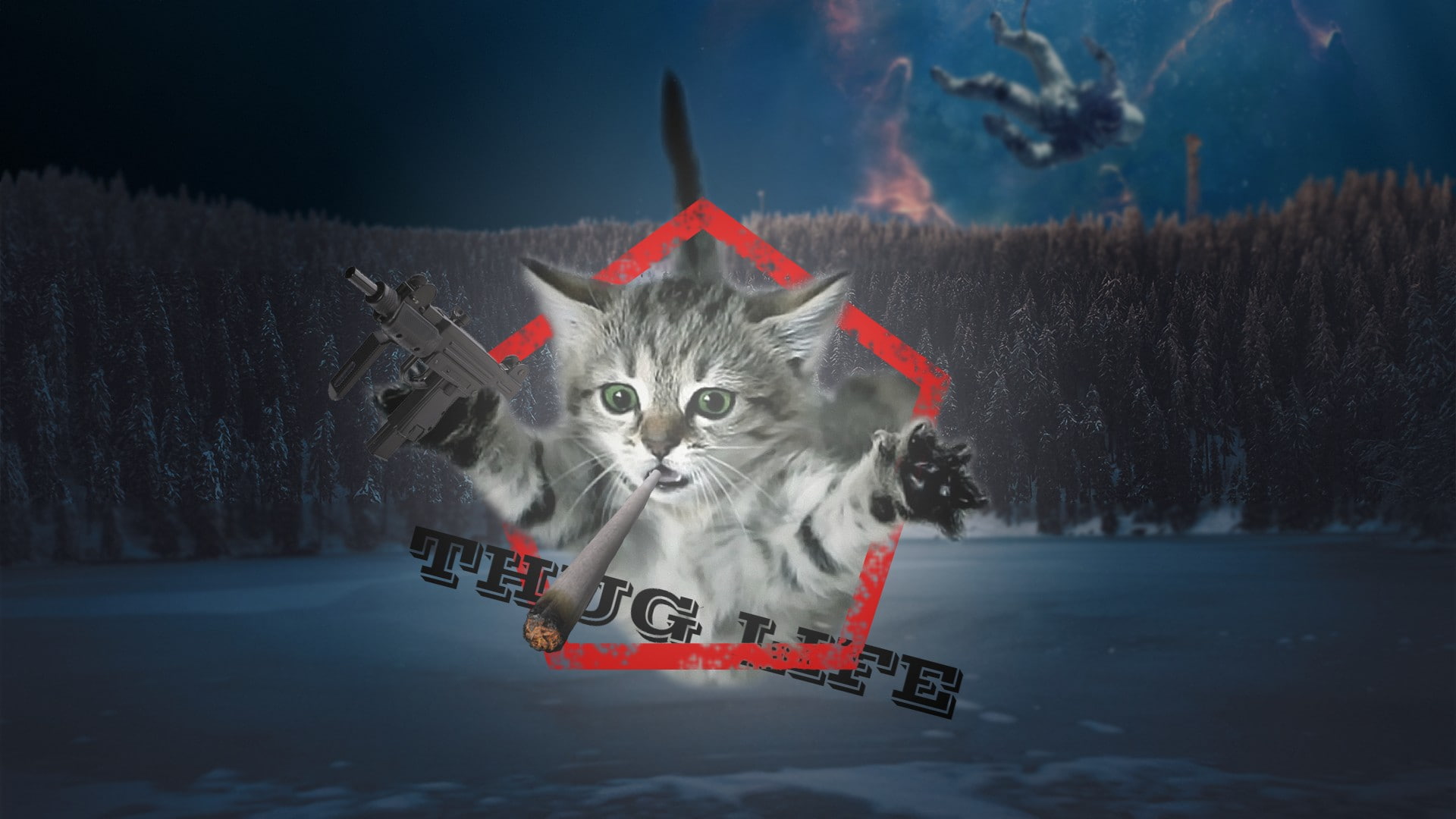 astronaut, cat, forest, gangster, lake, Ps, Thug life, animal