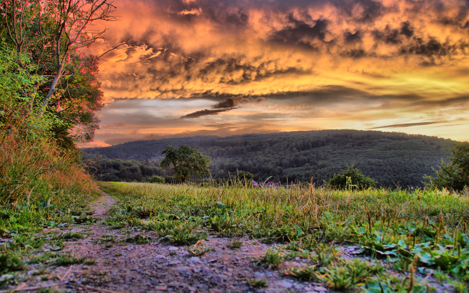 clouds, fields, grass, hdr, landscapes, nature, path, roads