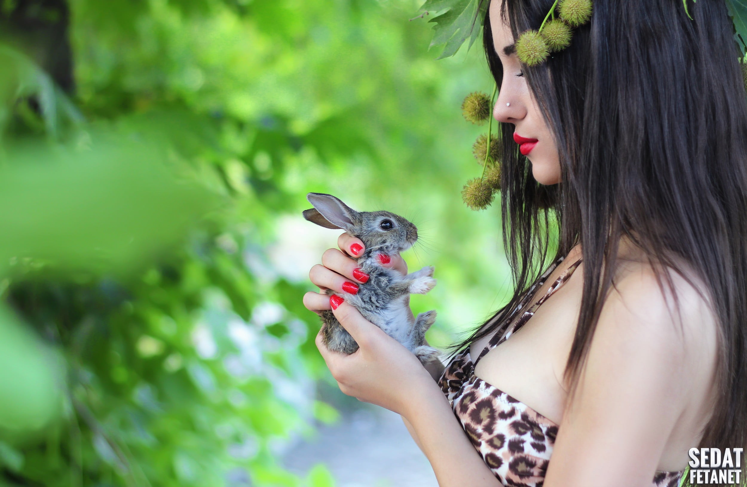 gray rabbit, rabbits, women, Russian women, curvy, animals, model