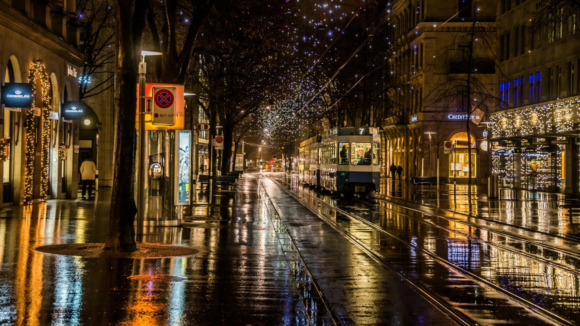 street, december, christmas, rainy, tourist attraction, lighting