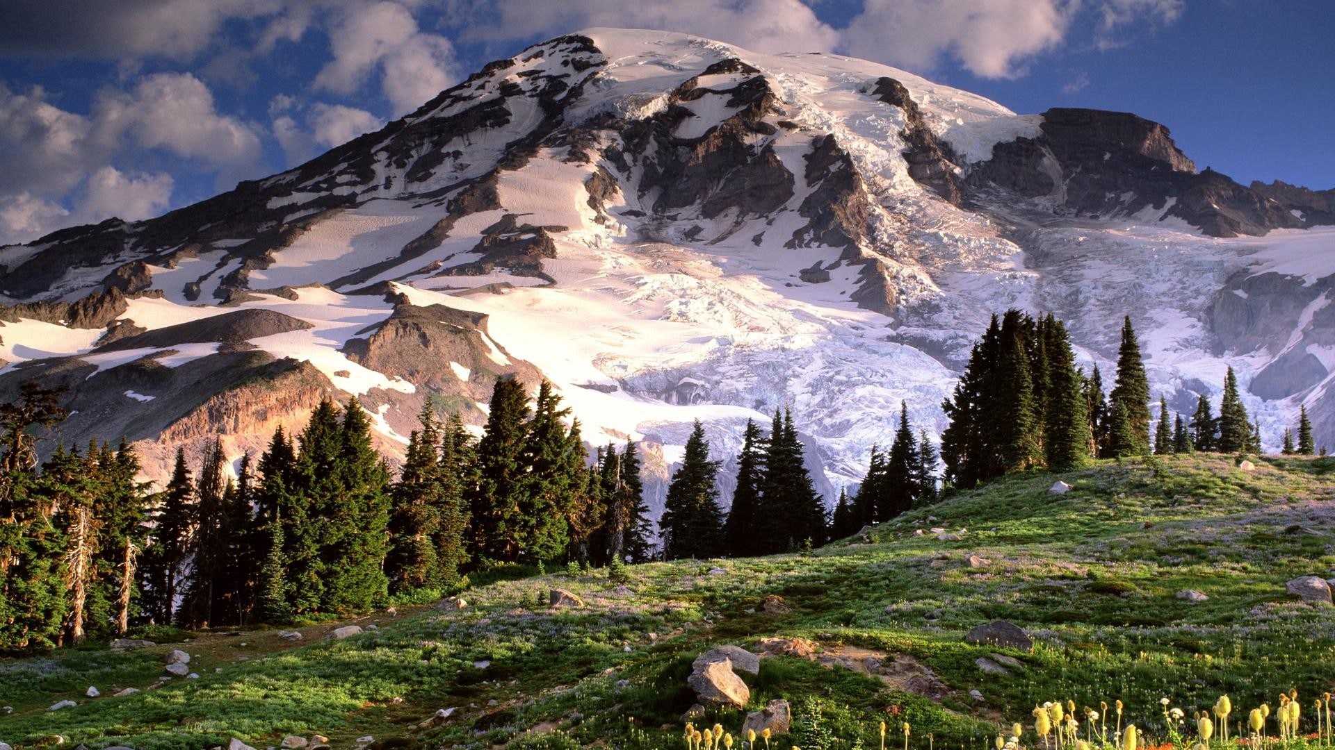 Nature, Landscape, Mount Rushmore, Mountain, Trees, snow capped mountains and pine trees