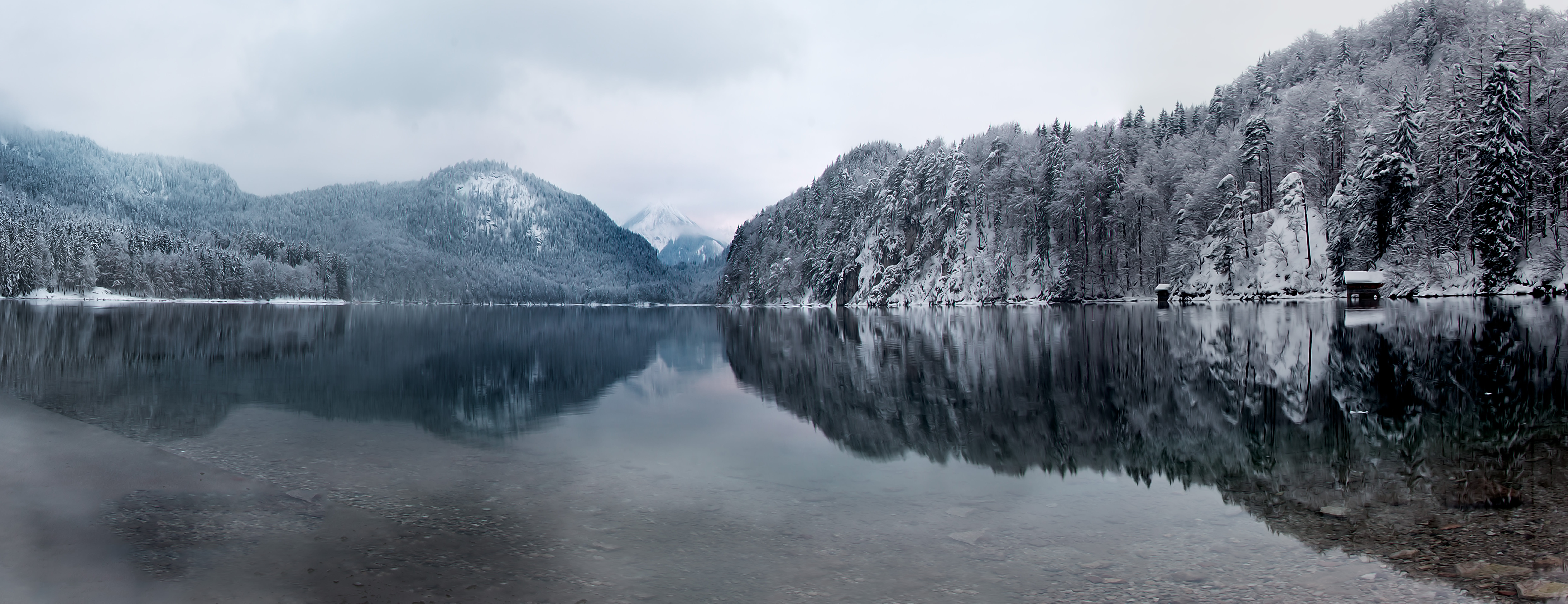 body of water surrounded with mountains, alpsee, alpsee, Der