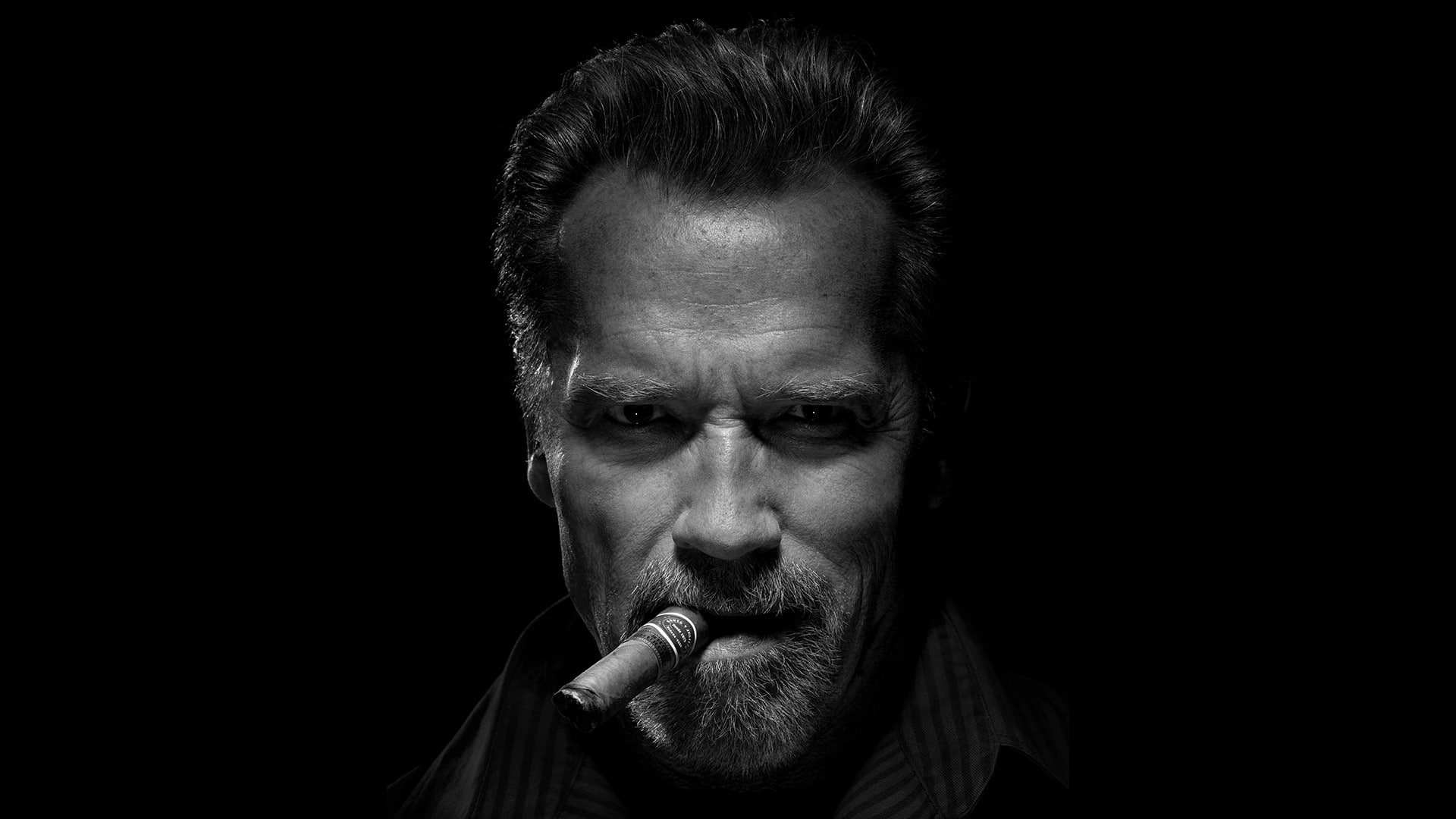 Actors, Arnold Schwarzenegger, American, Black and White, Cigar