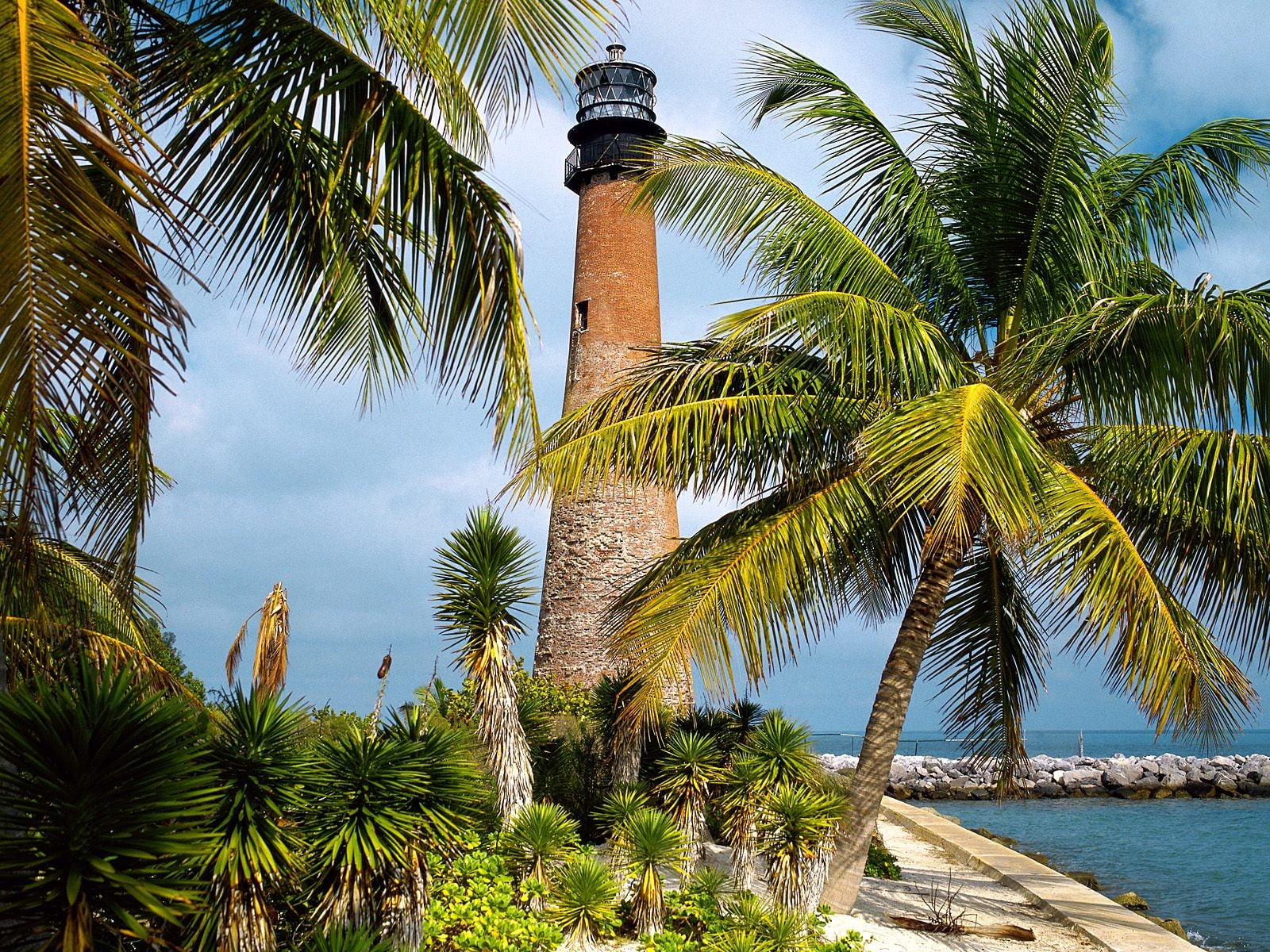 brown concrete lighthouse, FL, Palm trees, tropical climate, plant