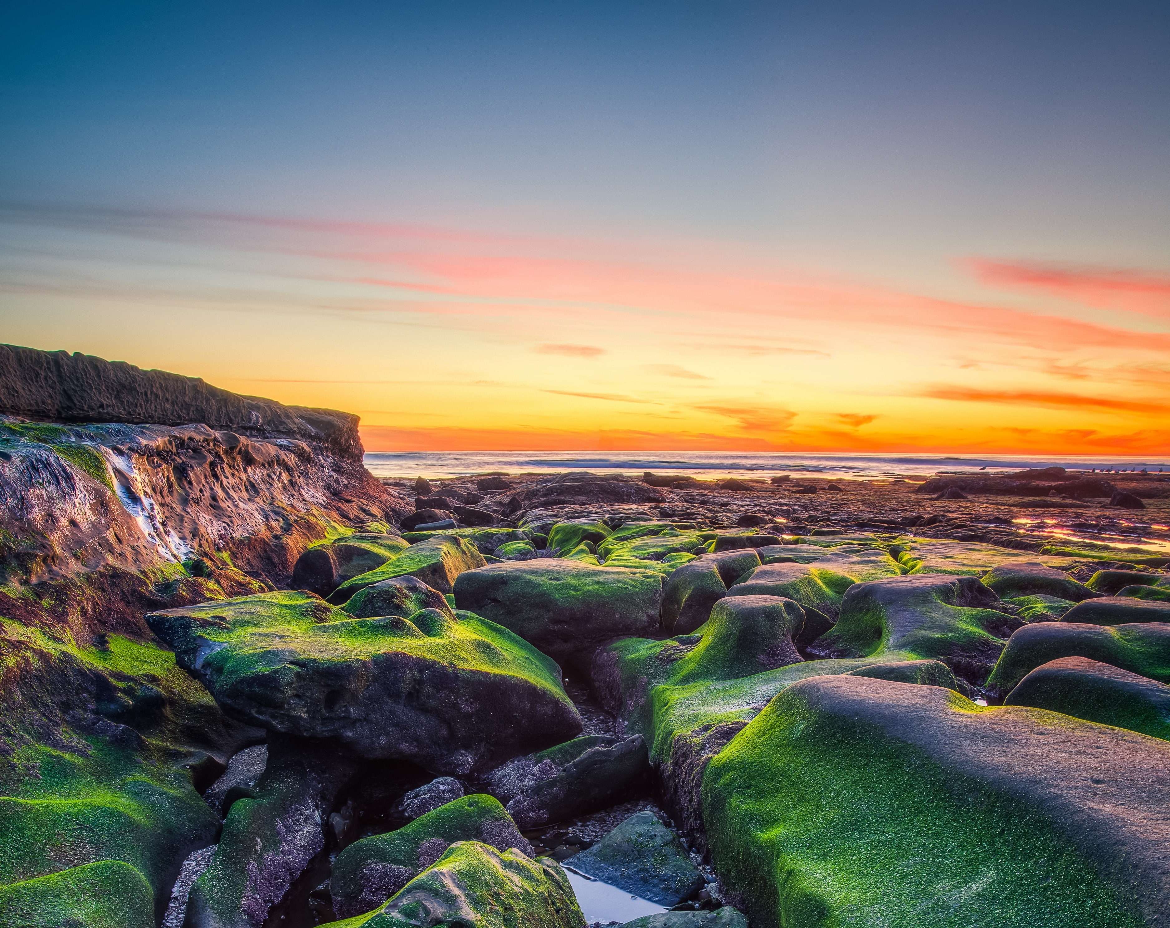 Low Tide, United States, California, Green, Sunset, Rock, Shore