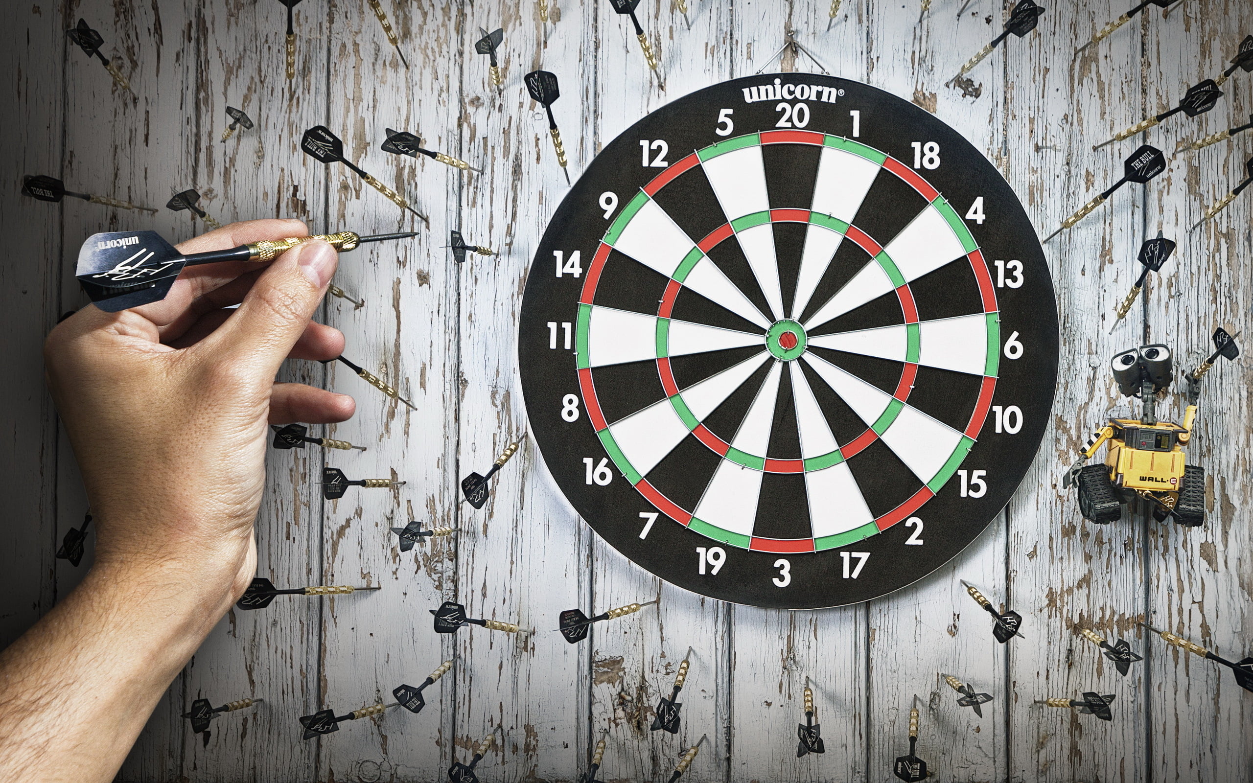 PDC Dart Board, black and brown dartboard, Sports, Other, human hand