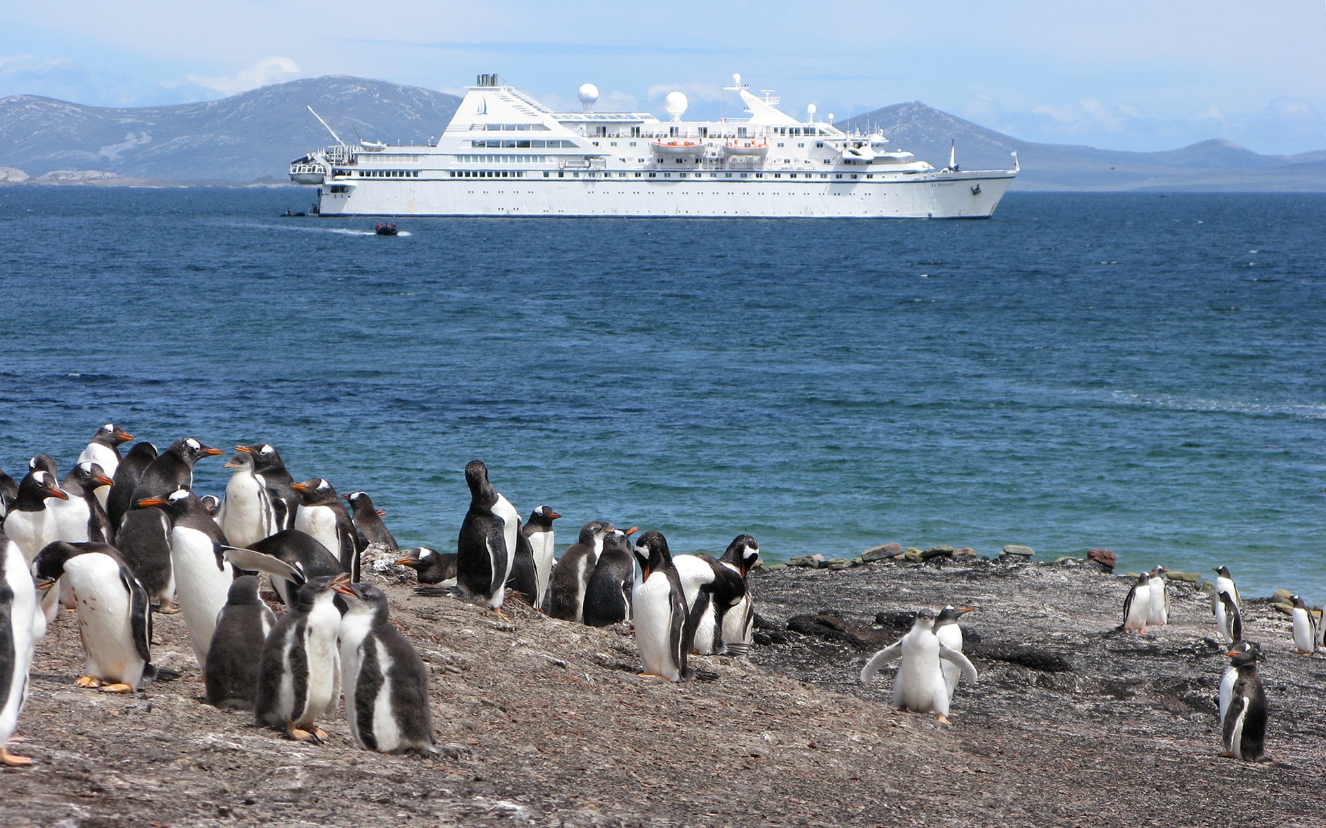 Penguin, coast, sea, ship, flock of penguins