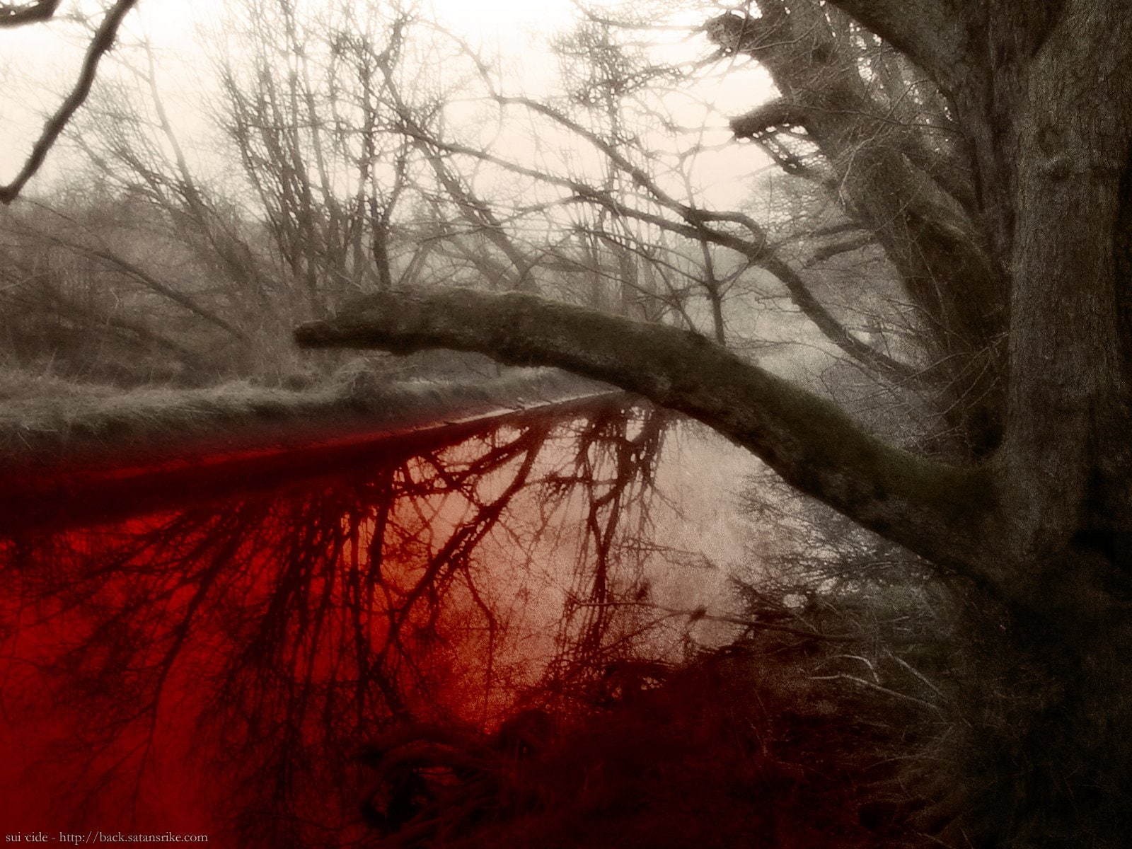 blood, coloring, Dark, horror, landscape, manipulation, nature