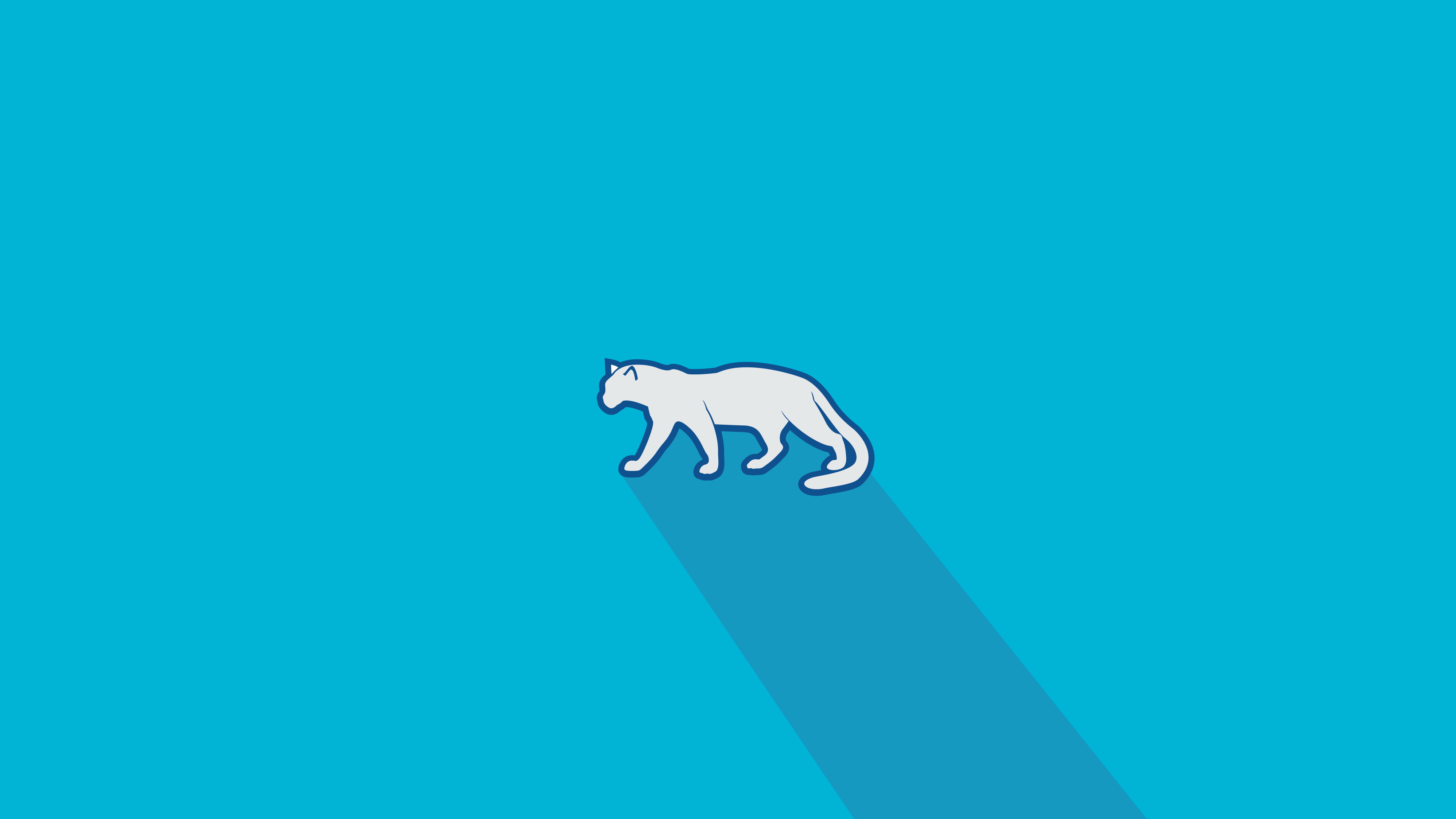 Pardus, Linux, minimalism, Flatdesign, Long shadow