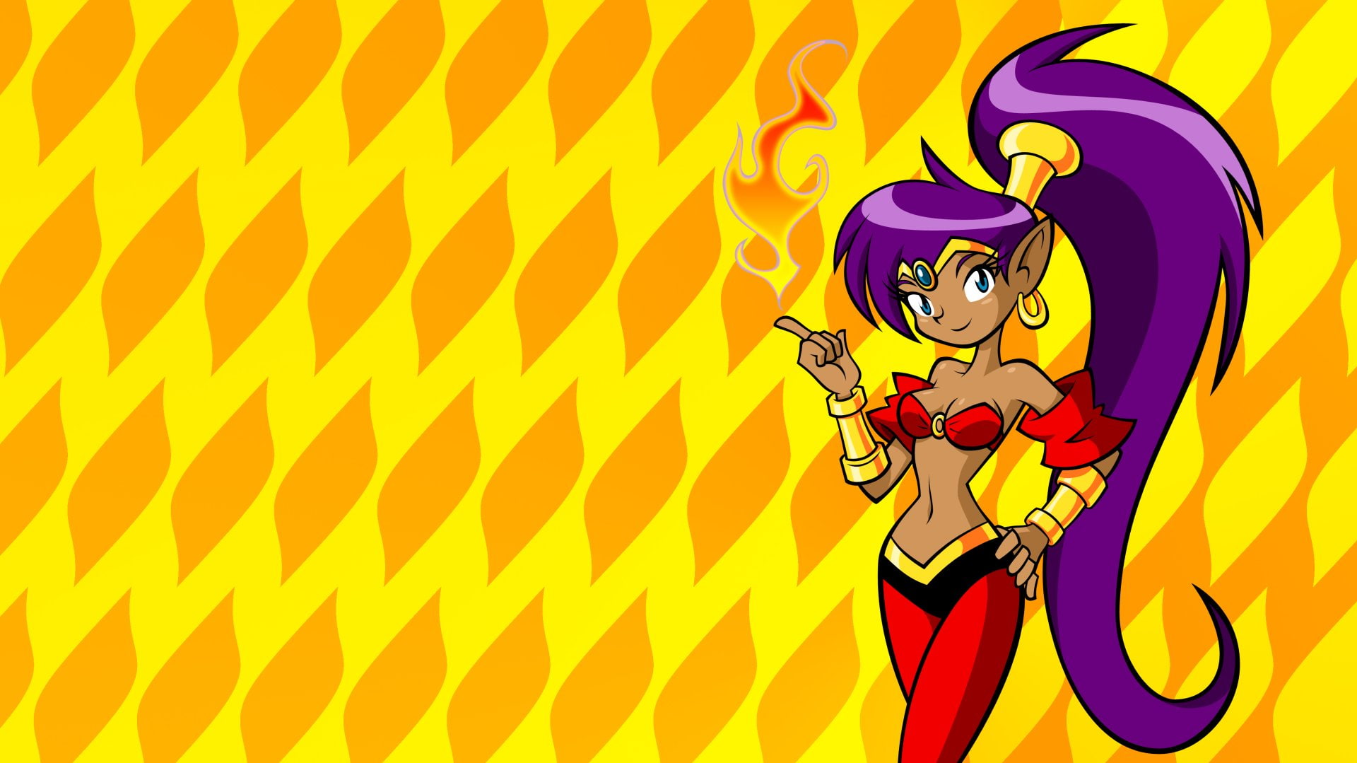 Video Game, Shantae: Riskys Revenge