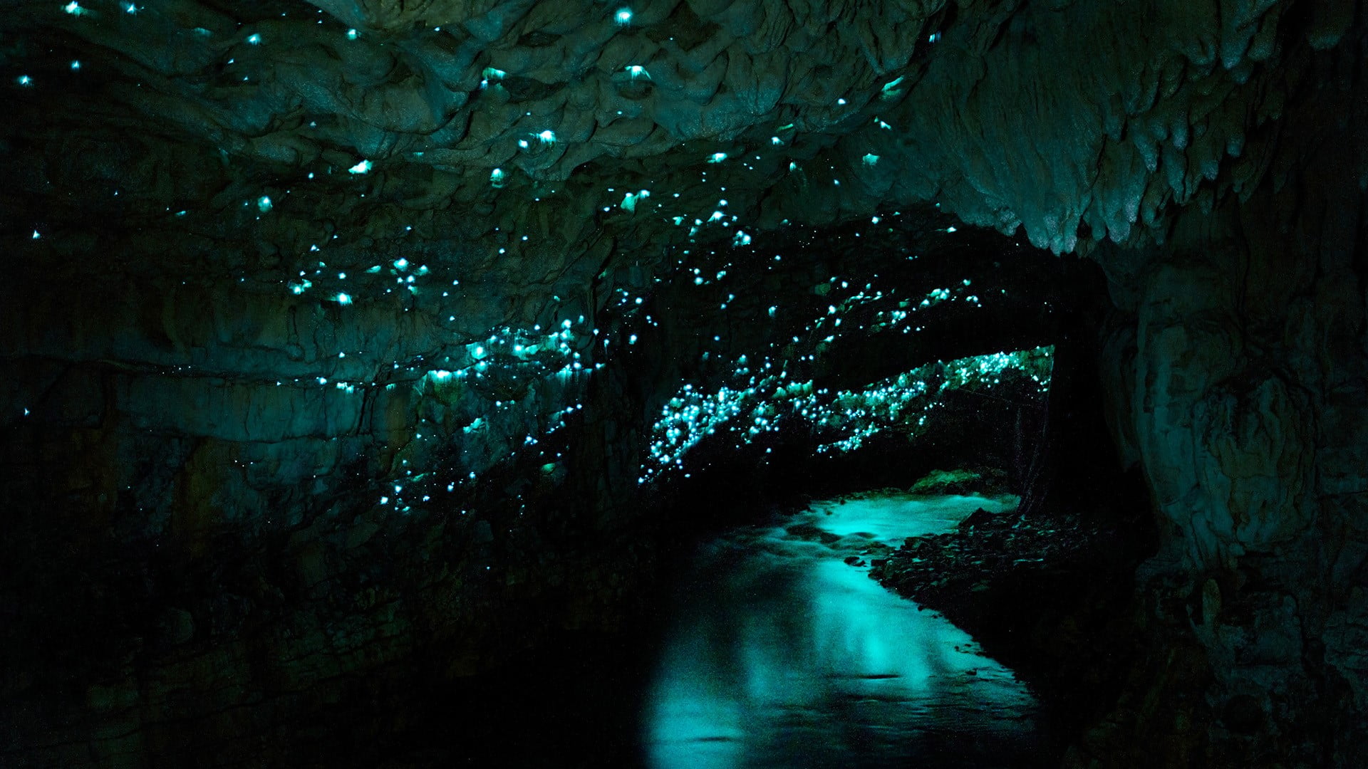 cave, water, night, Waitomo Glowworm Caves, New Zealand