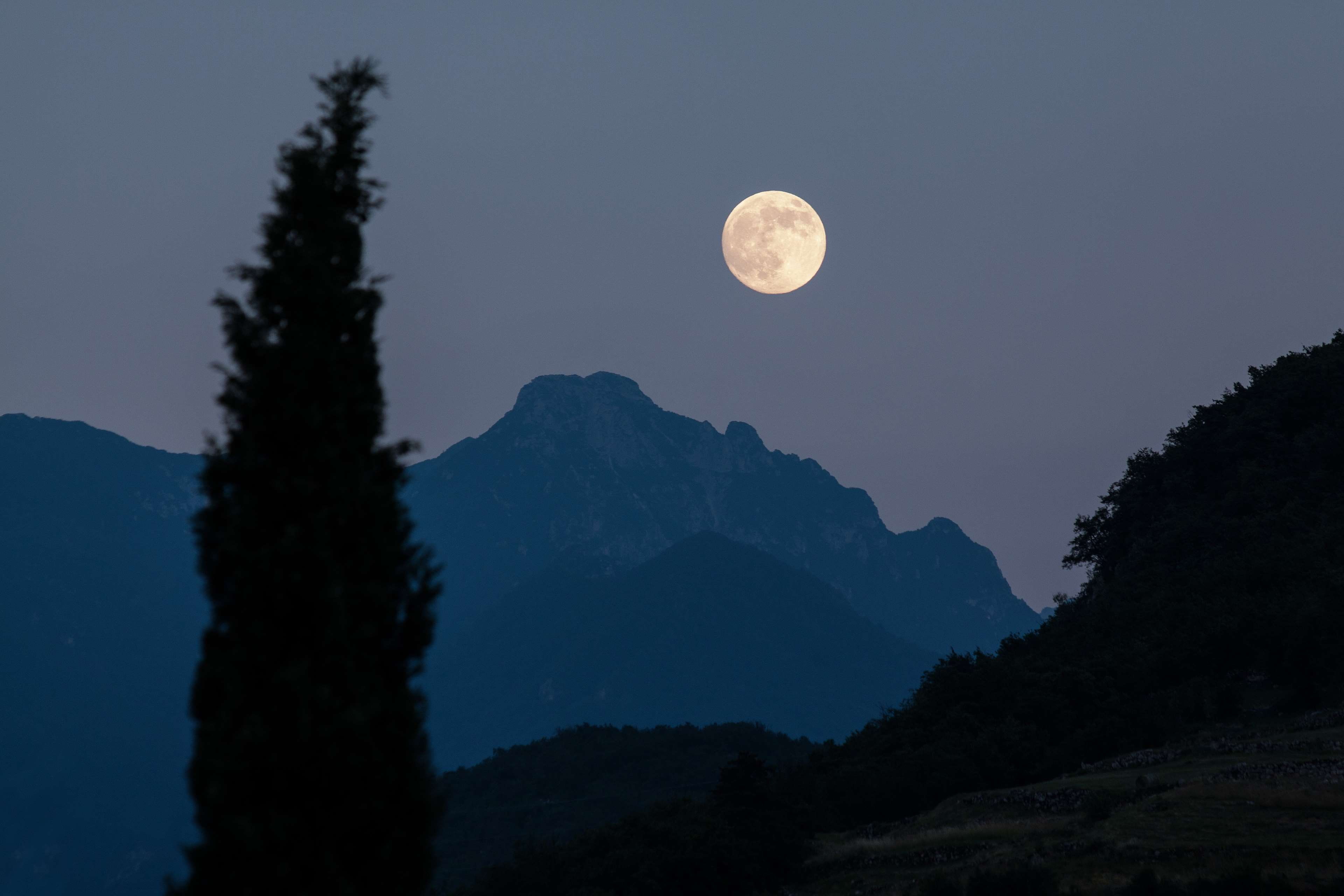 almost night, cypress, evening, full moon, moonrise, mountains