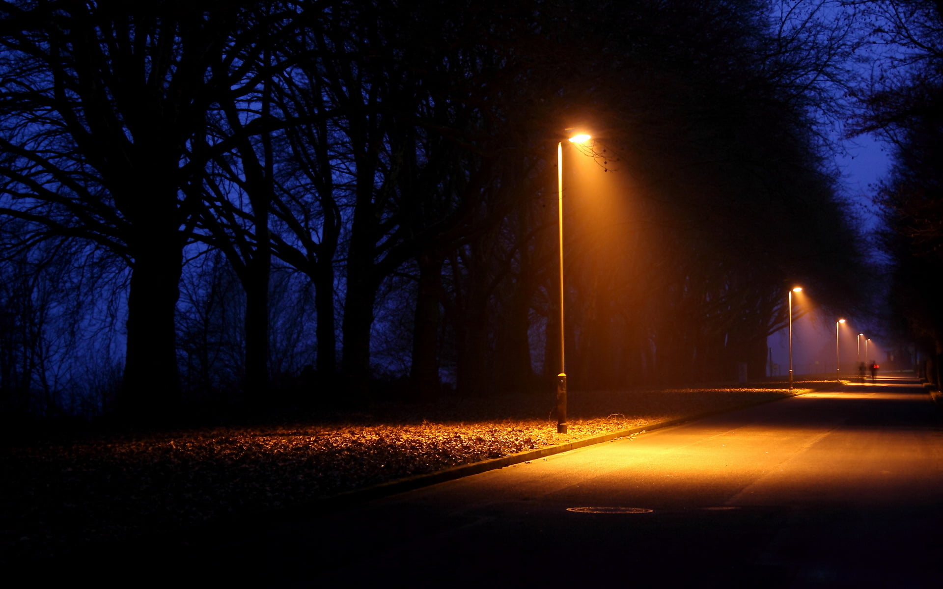 gray lamp posts, night, the city, Park, tree, street, dark, illuminated