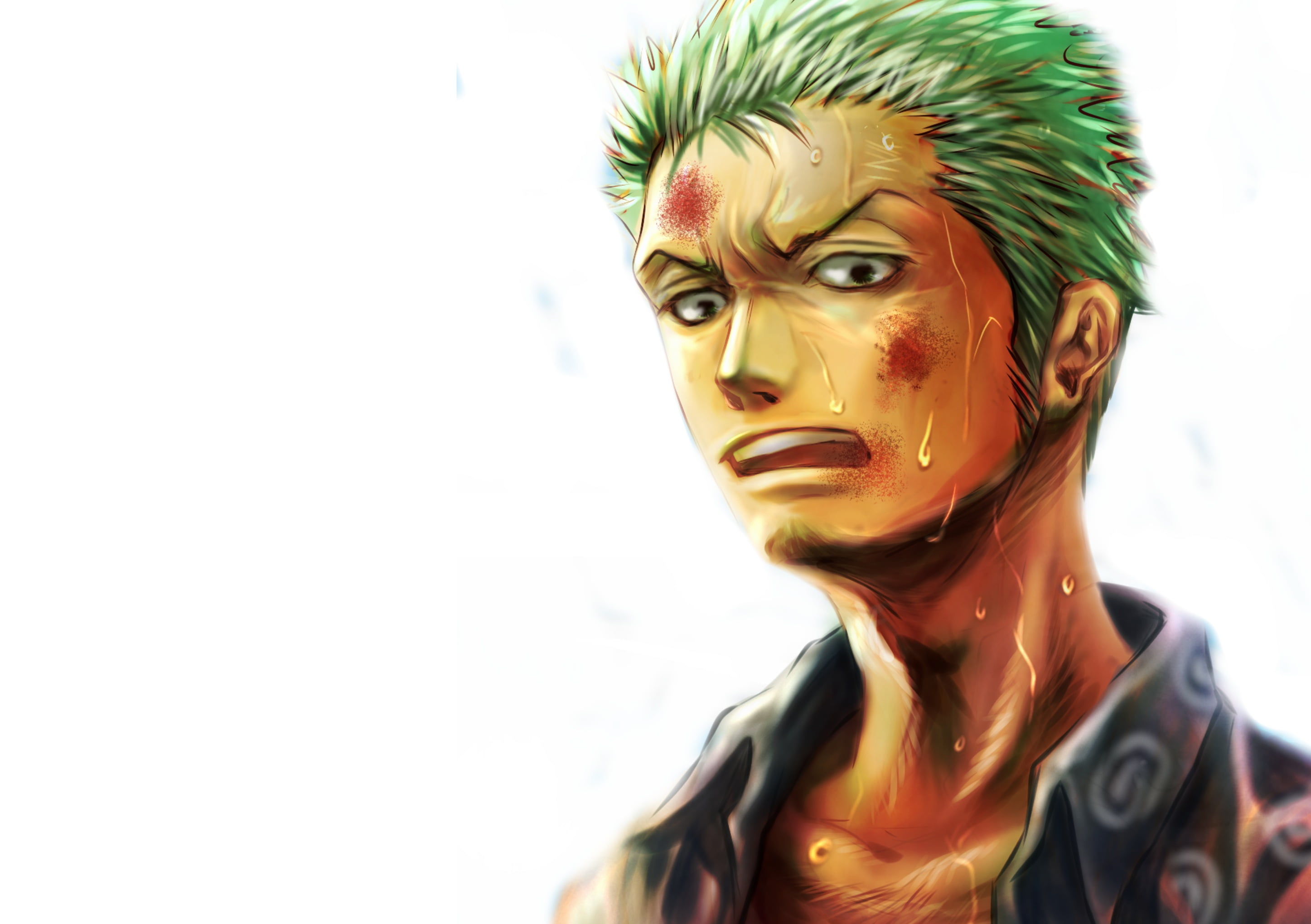 Free download HD wallpaper One Piece, Roronoa Zoro Wallpaper Flare