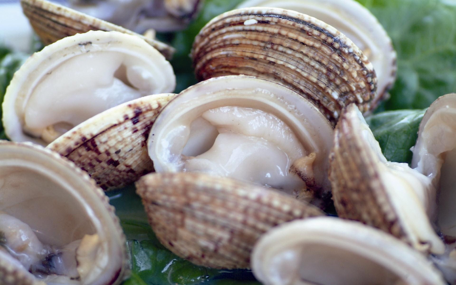 seafood