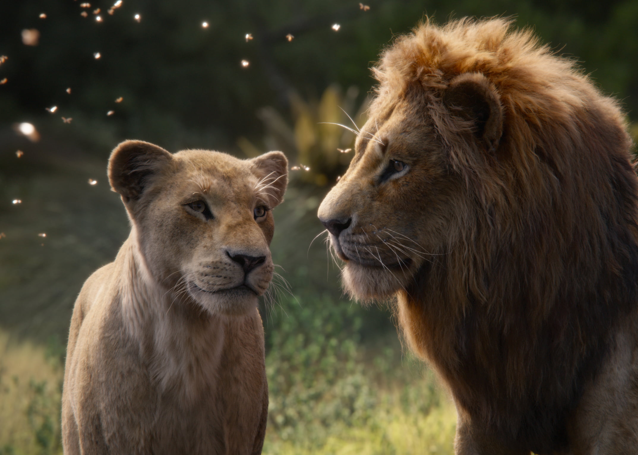 Free download | HD wallpaper: Movie, The Lion King (2019), Nala (The