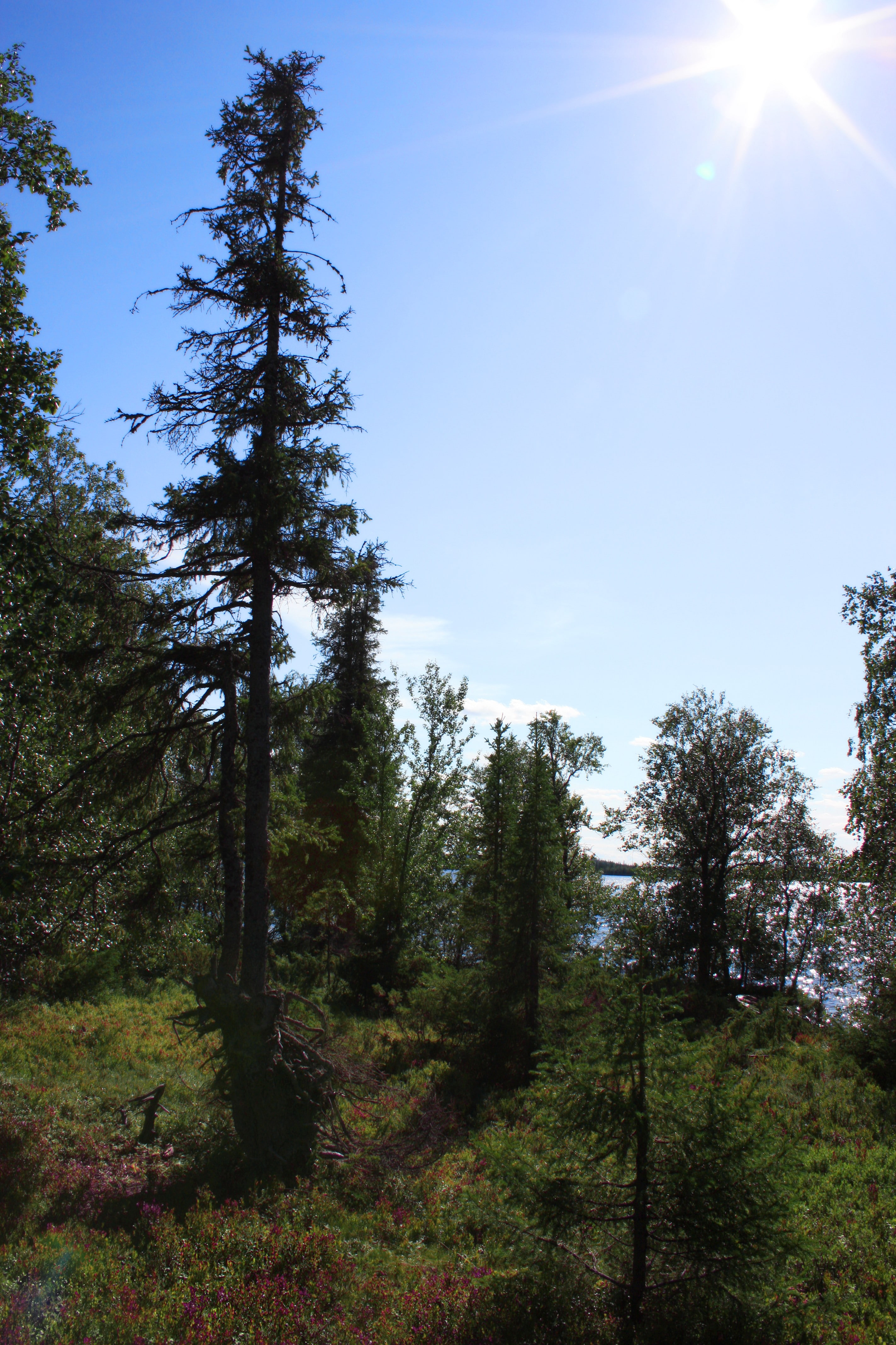 landscape, Karelia