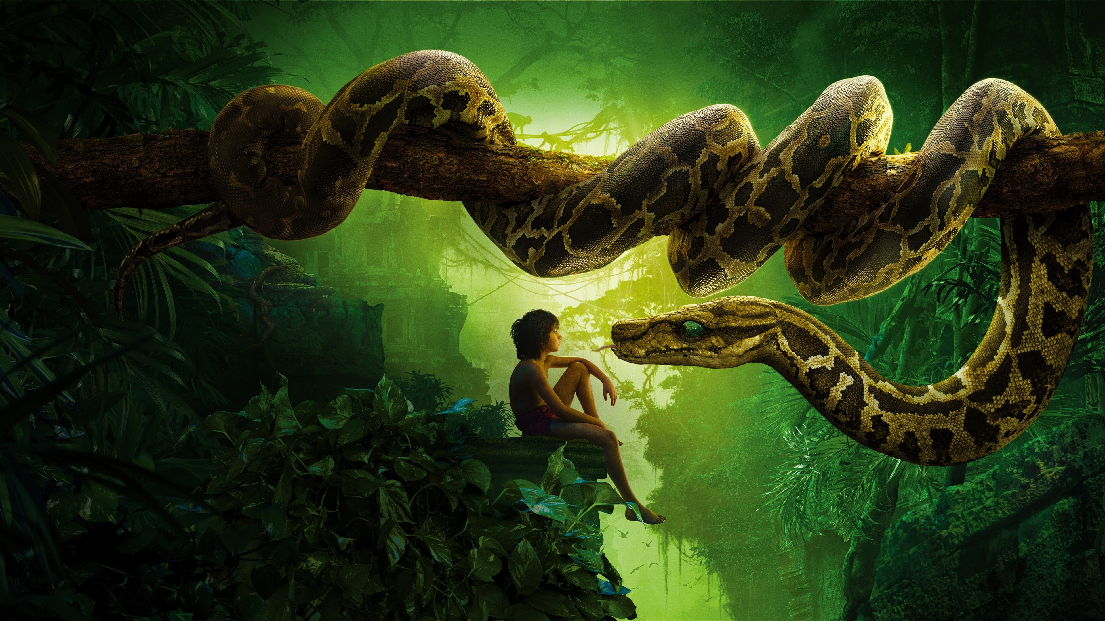 Free download HD wallpaper Tarzan poster, The Jungle Book, snake kaa