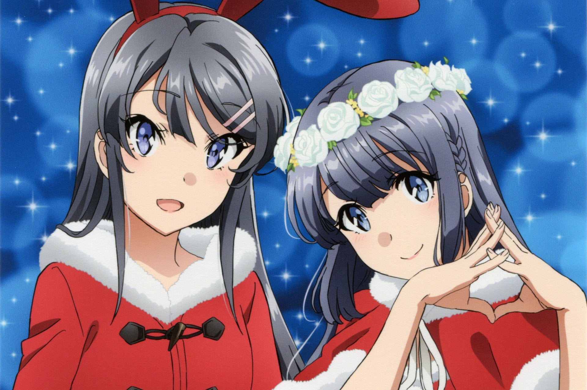 Anime, Seishun Buta Yarou wa Bunny Girl Senpai no Yume wo Minai