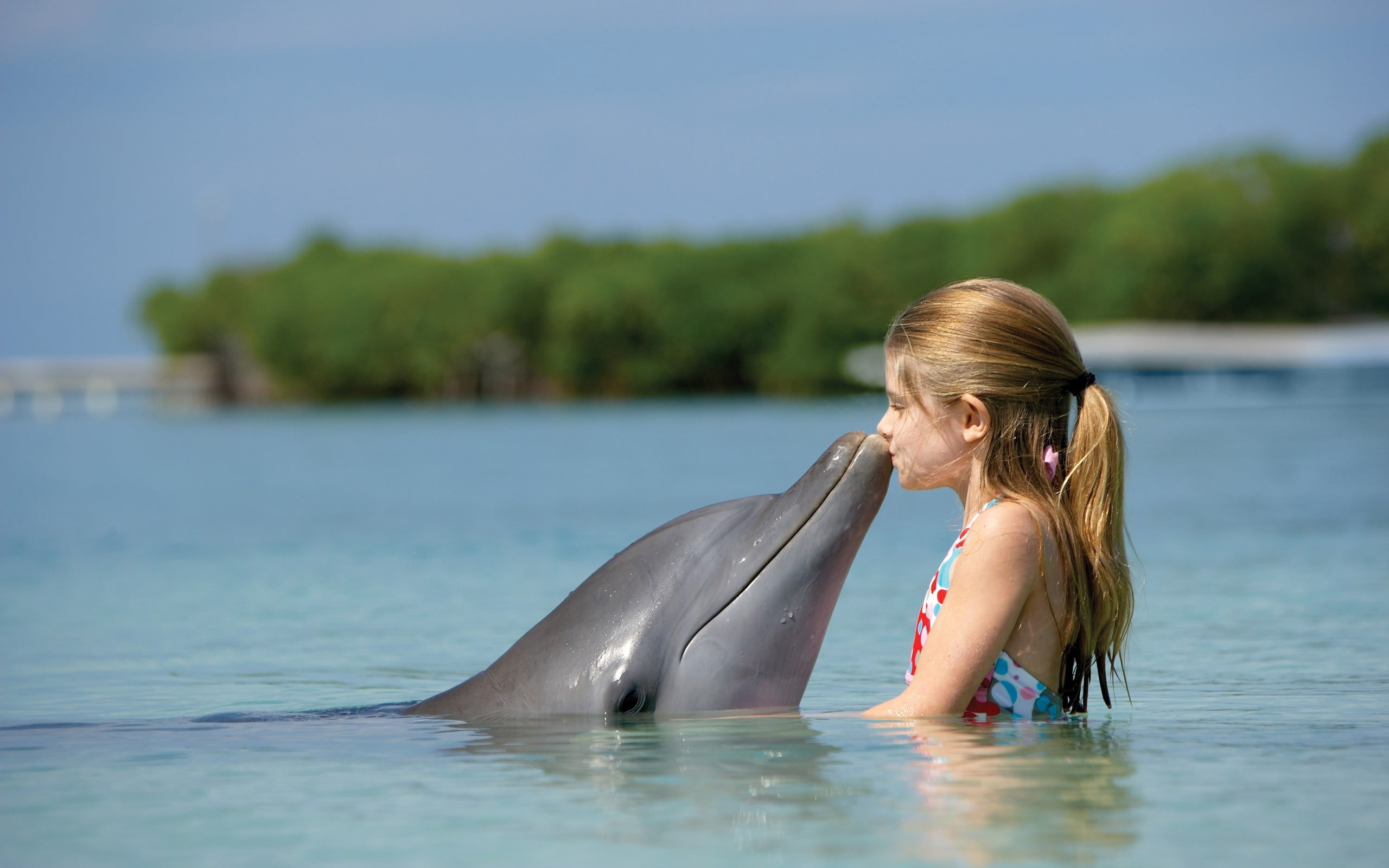 little girl, dolphin, children, water, animals, ponytail, women