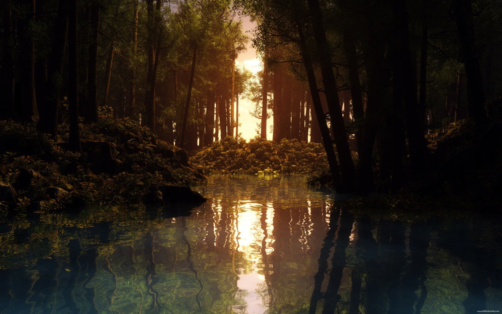 reflection cgi sunset forest creeks, tree, plant, water, tranquility