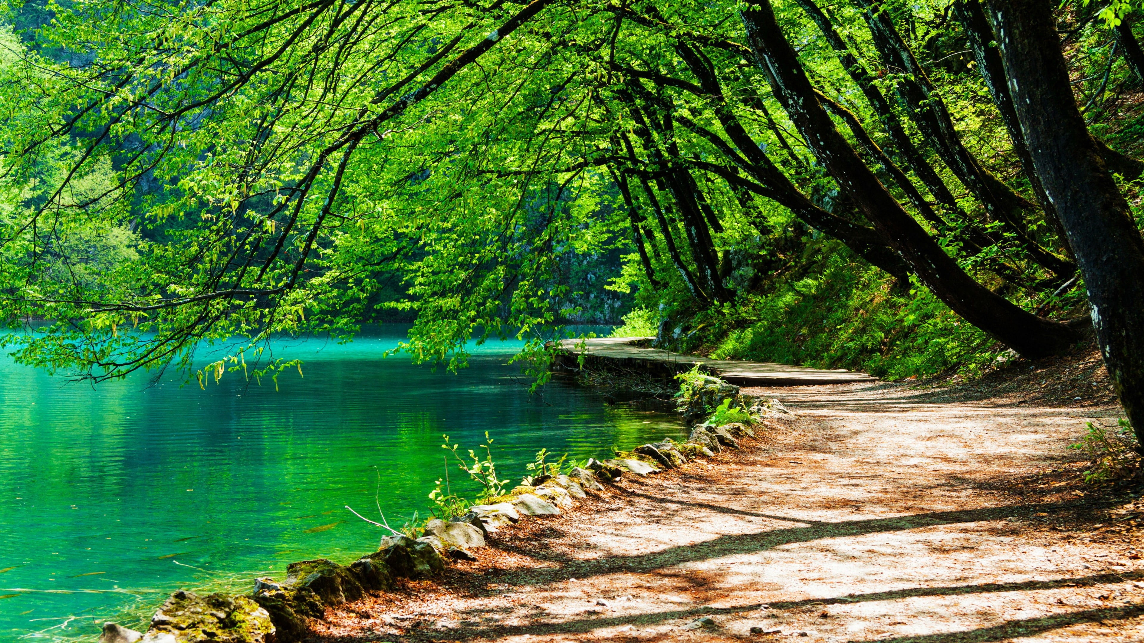 water, nature, emerald green, path, national park, tree, croatia