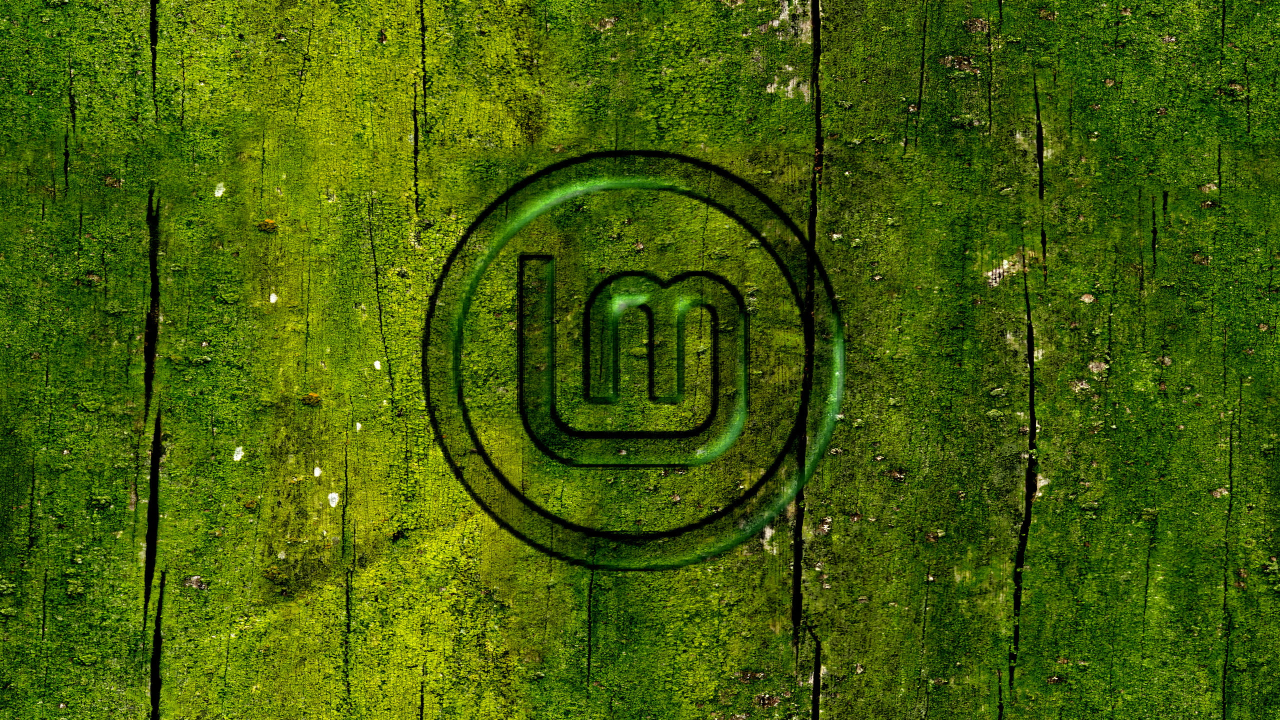 Linux, Linux Mint