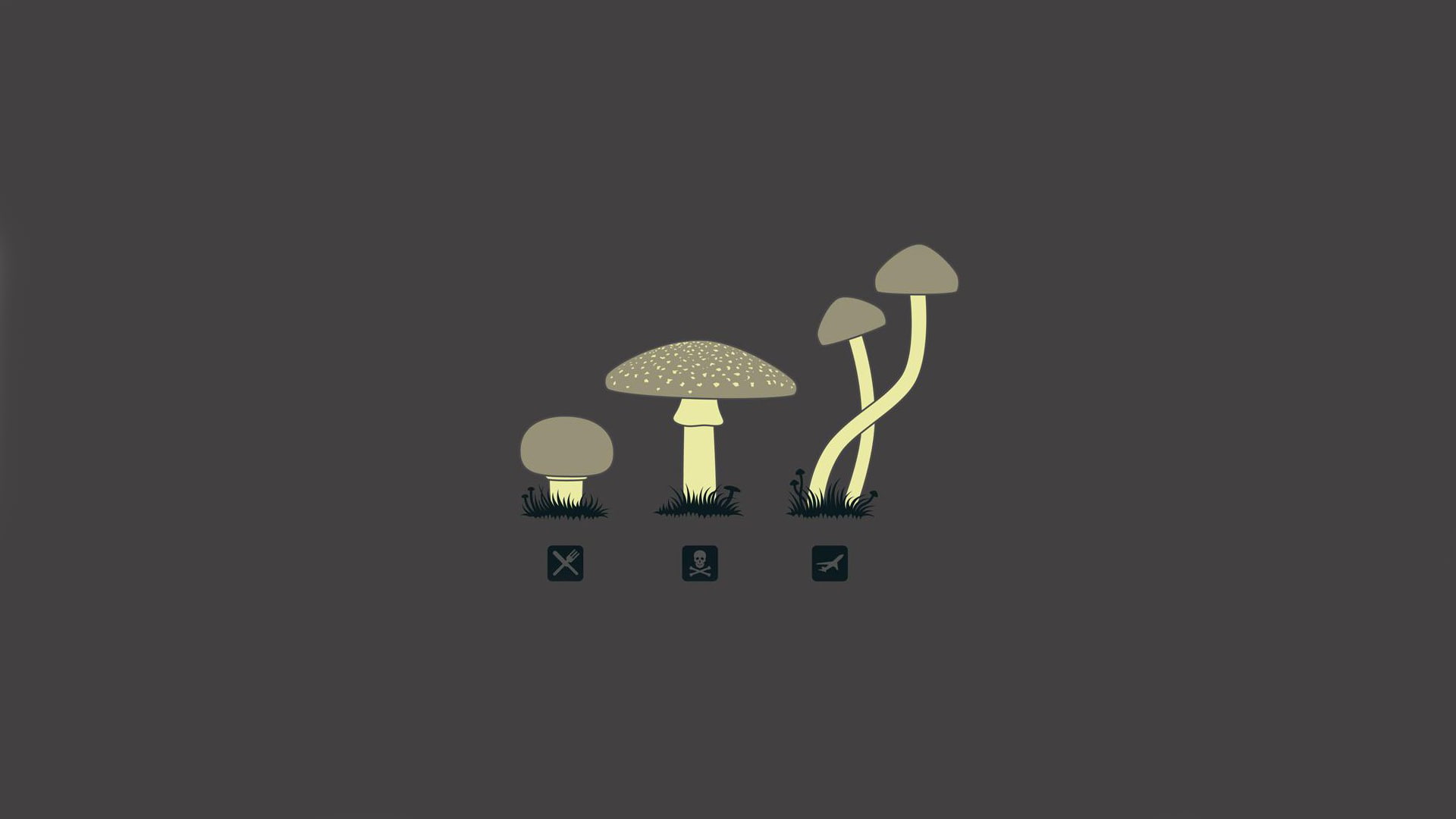 Free download HD wallpaper: mushroom, minimalism, drugs Wall