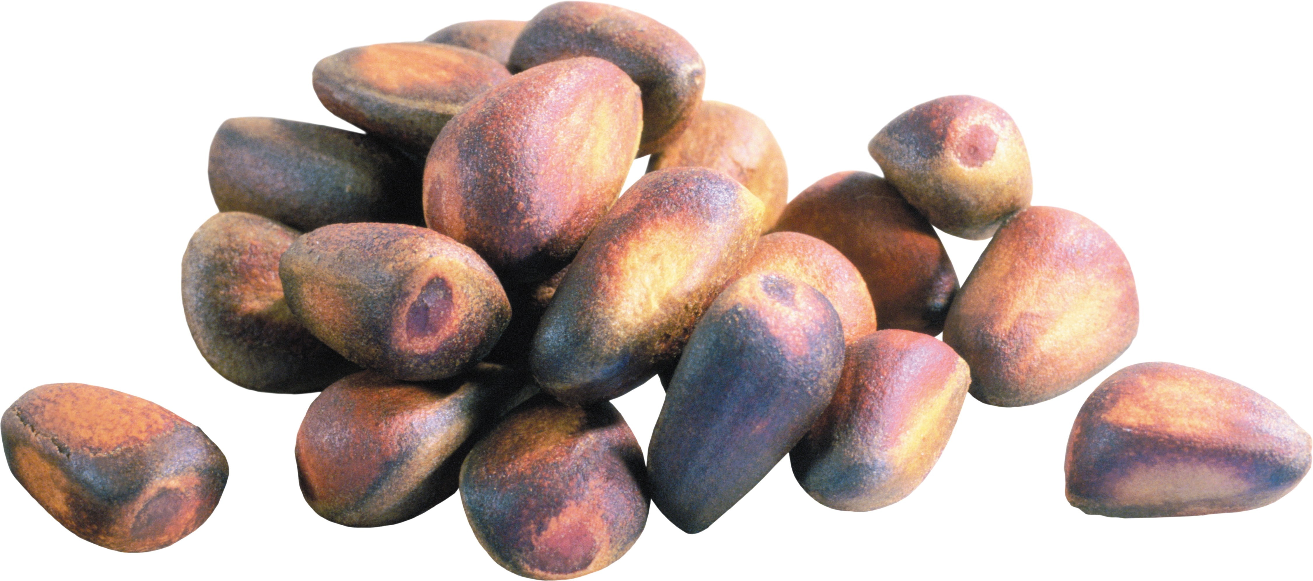 nut