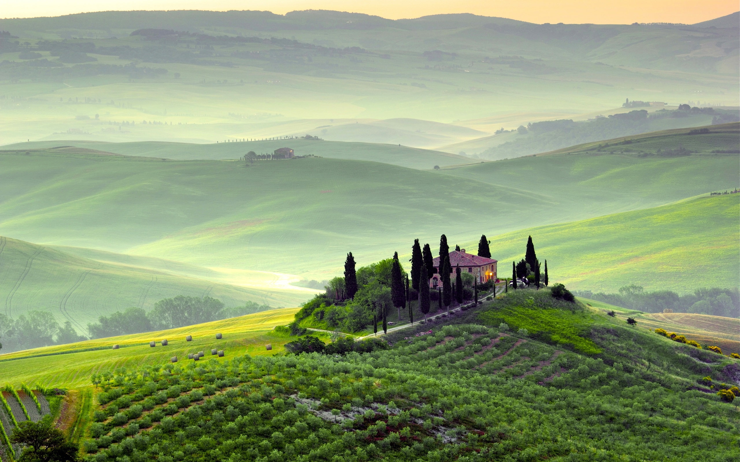 Pienza, Tuscany, Italy, spring scenery, fields, trees, morning, fog, green