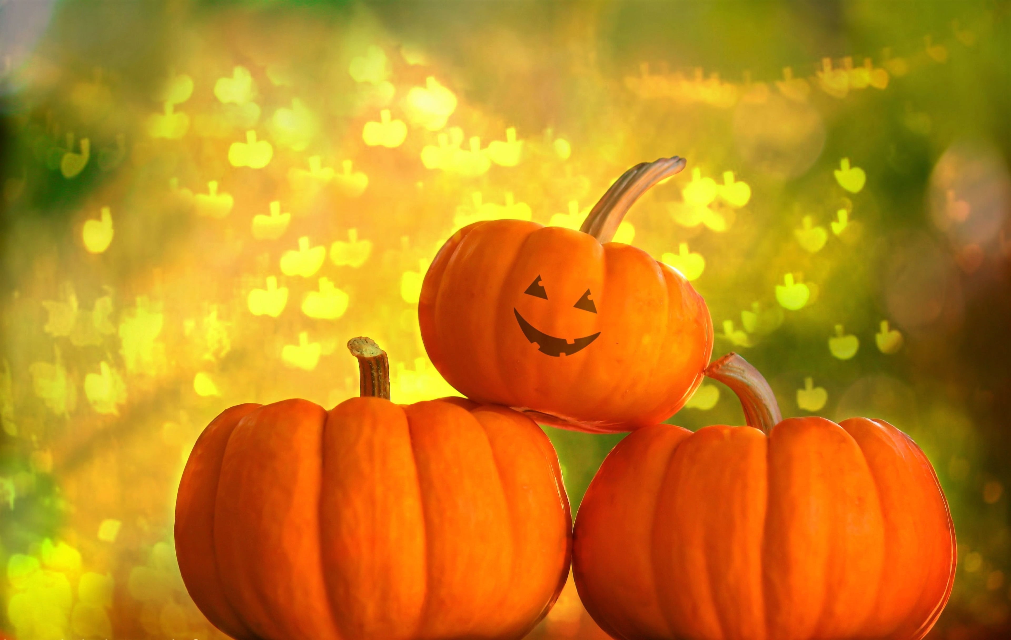 halloween 4k download free wallpaper hd, pumpkin, food and drink