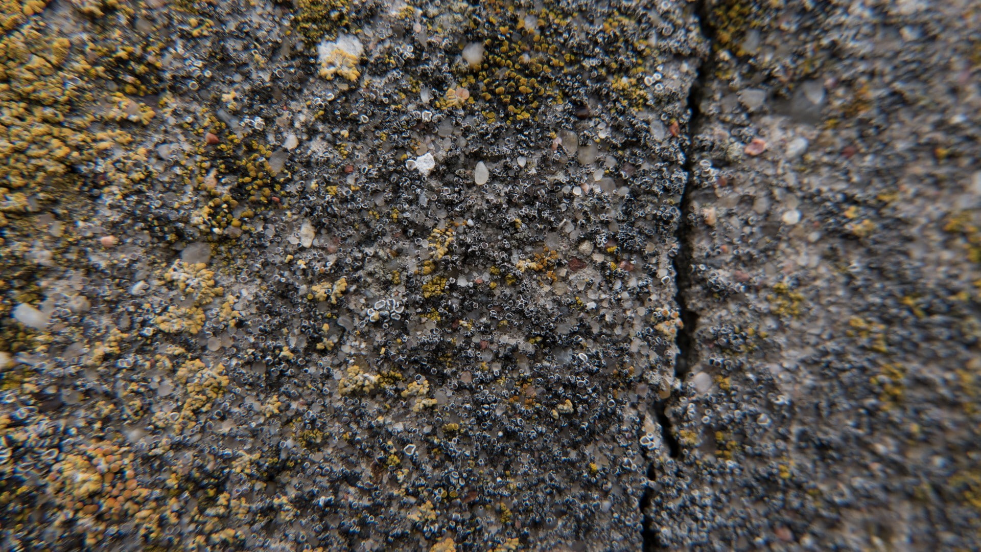 concrete, moss, split, texture