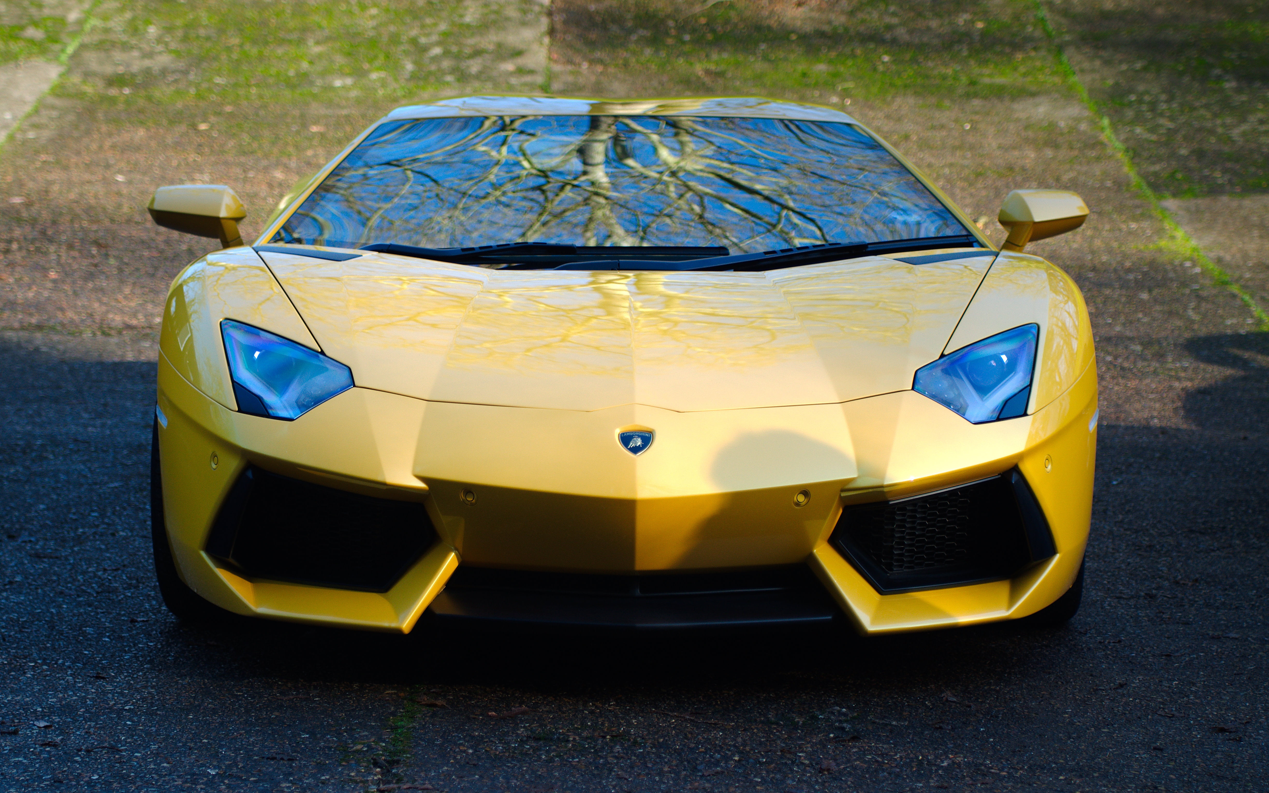 yellow Lamborghini Aventador coupe, lp700-4, car, front view