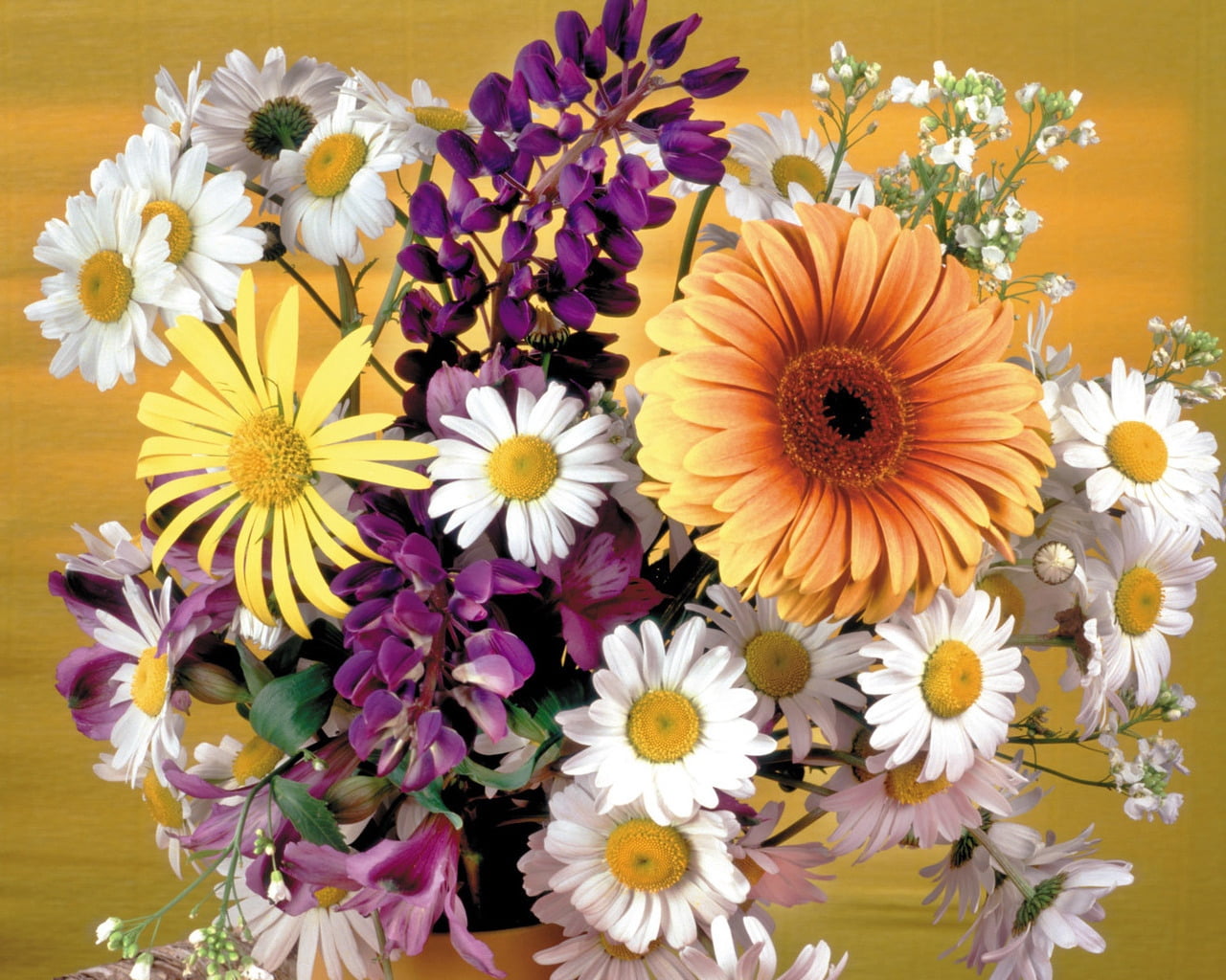 white-purple-and-yellow petaled flowers, gerbera, daisies, bouquet