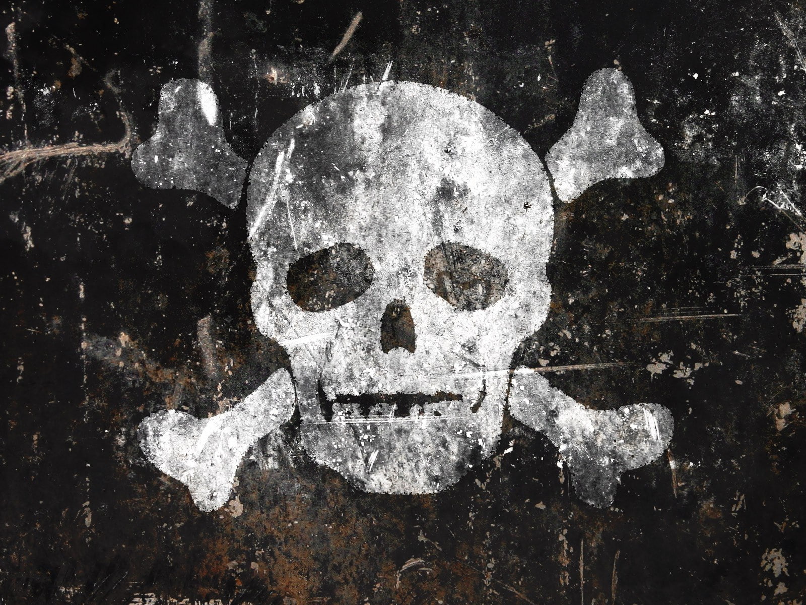 jolly roger