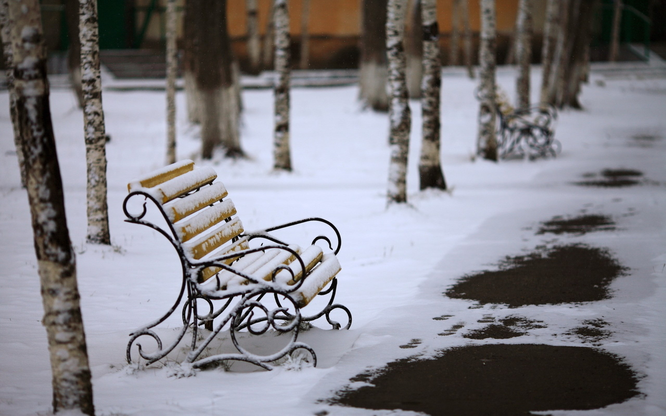 bench