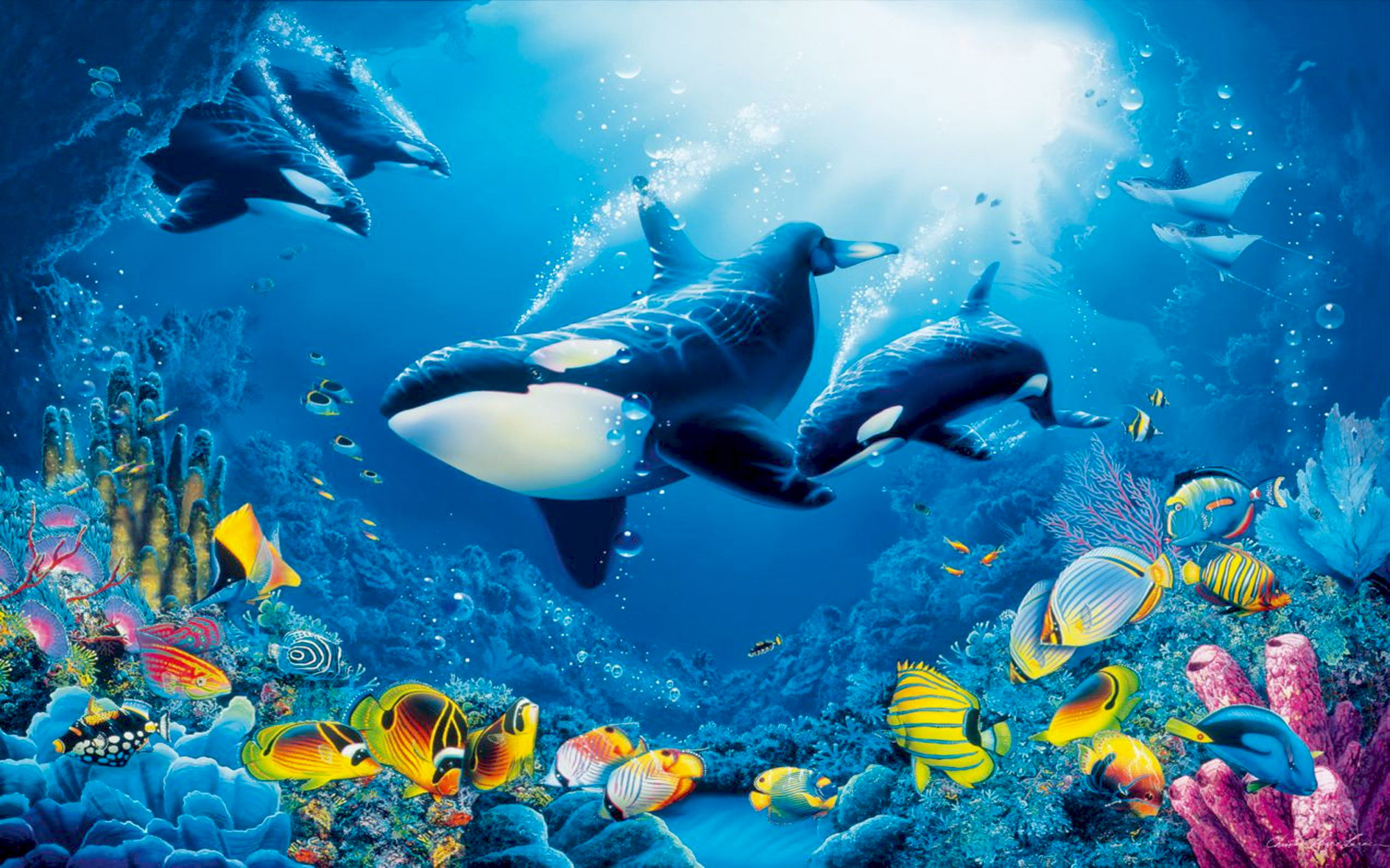 Underwater World, Coral Reef, Colorful Fish Marine Fauna With Ocean Orcas Killer Whales