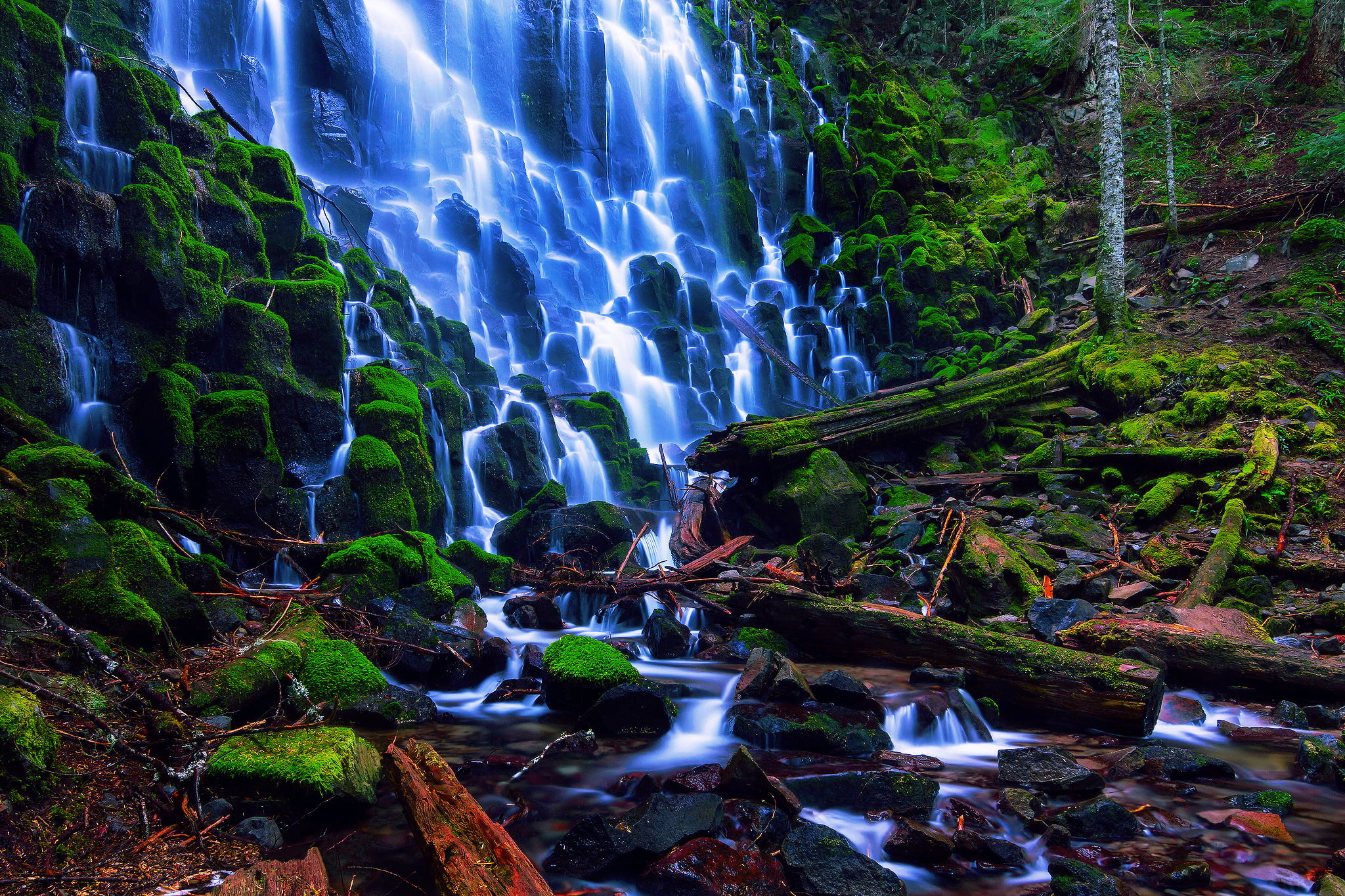 waterfall, forest, summer, branches, stones, moss, Oregon, USA