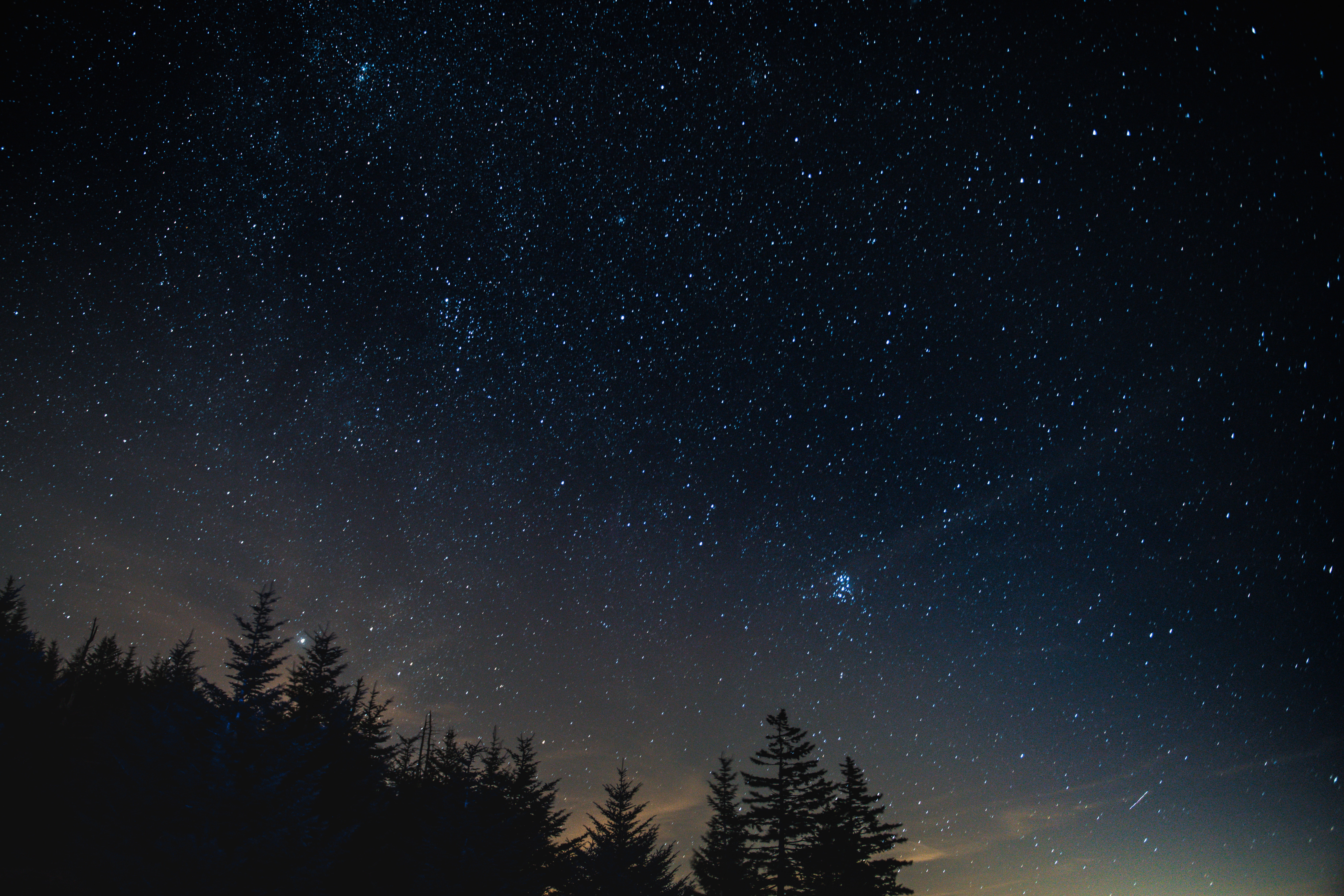 starry sky, night, trees, night landscape