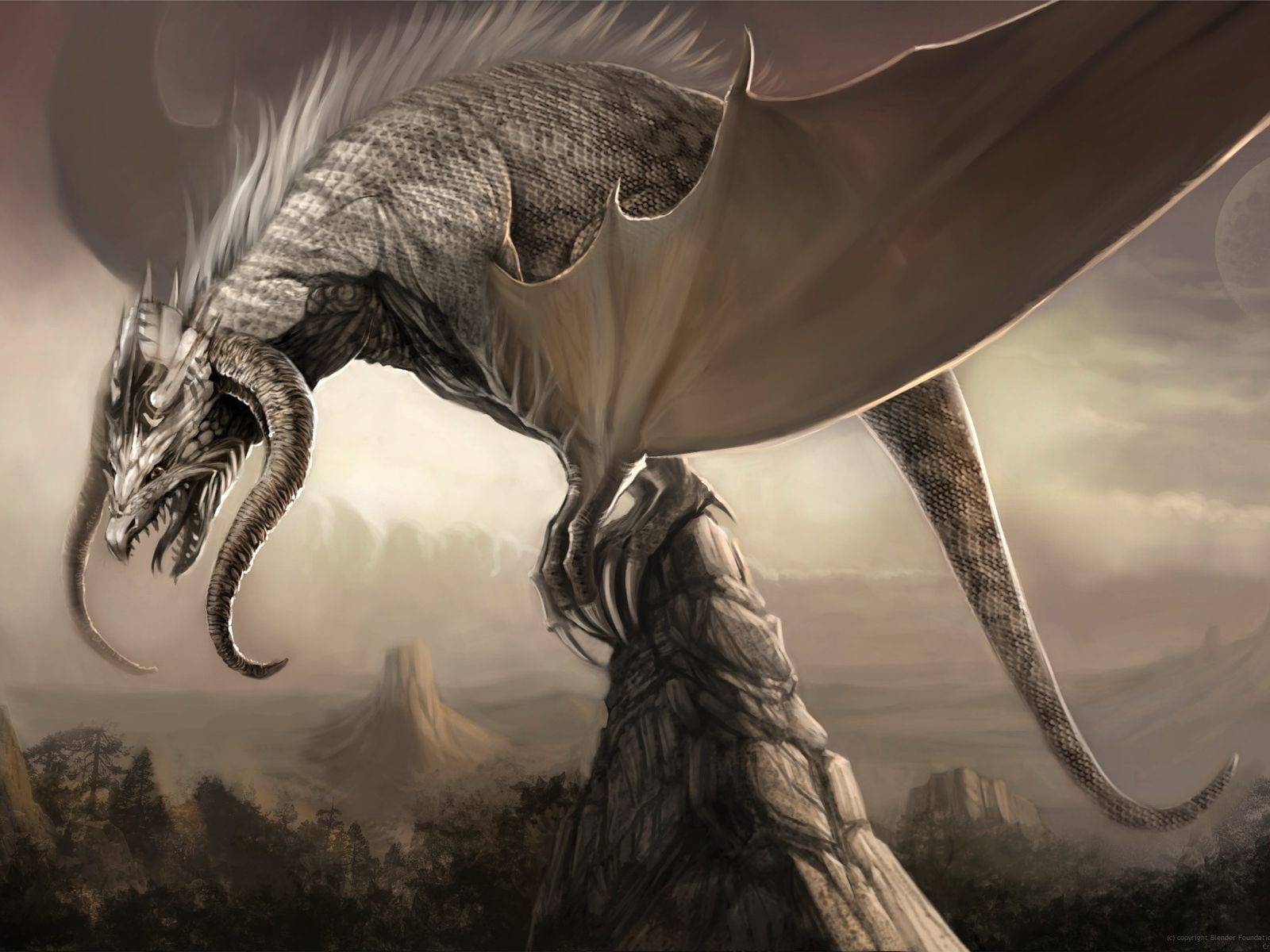 dragon