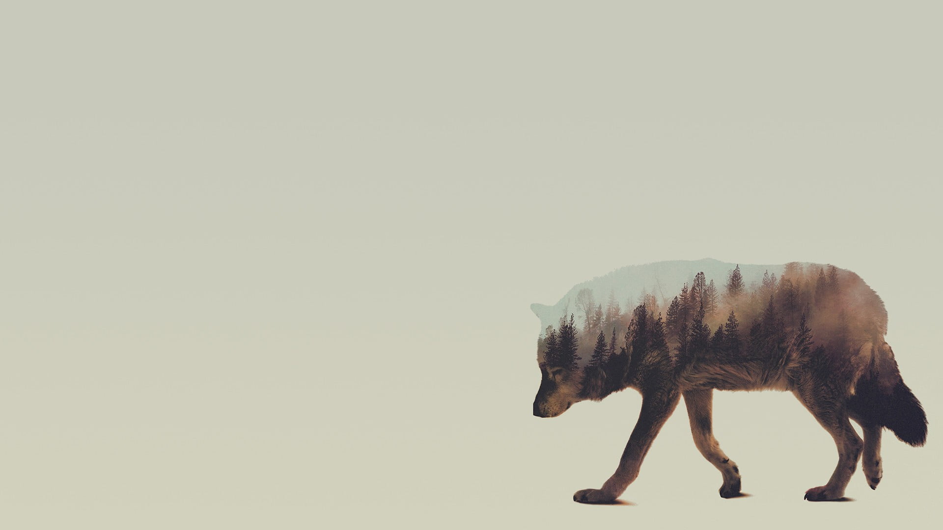brown and black wolf illusion painting, double exposure, Andreas Lie