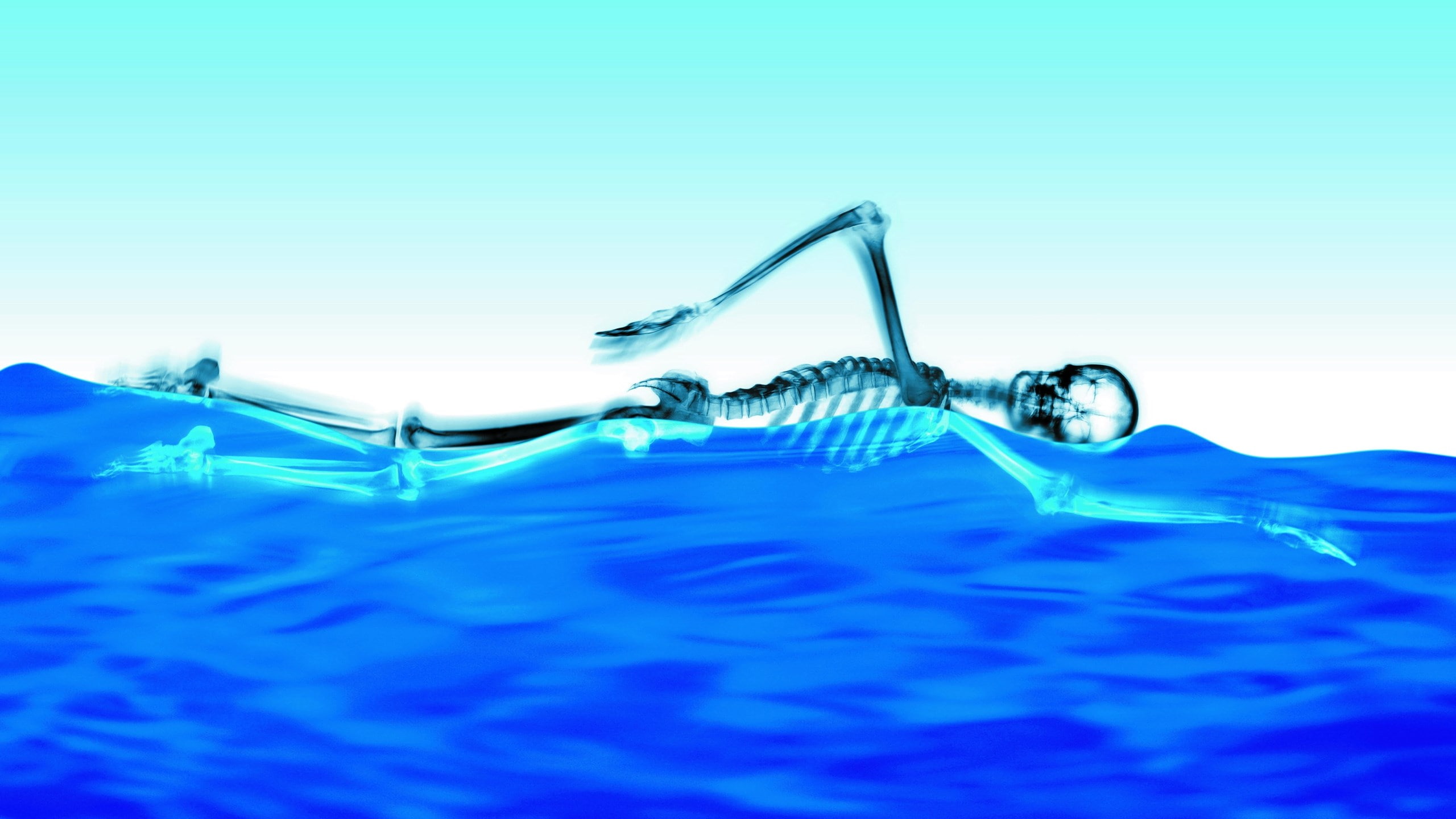 skeleton