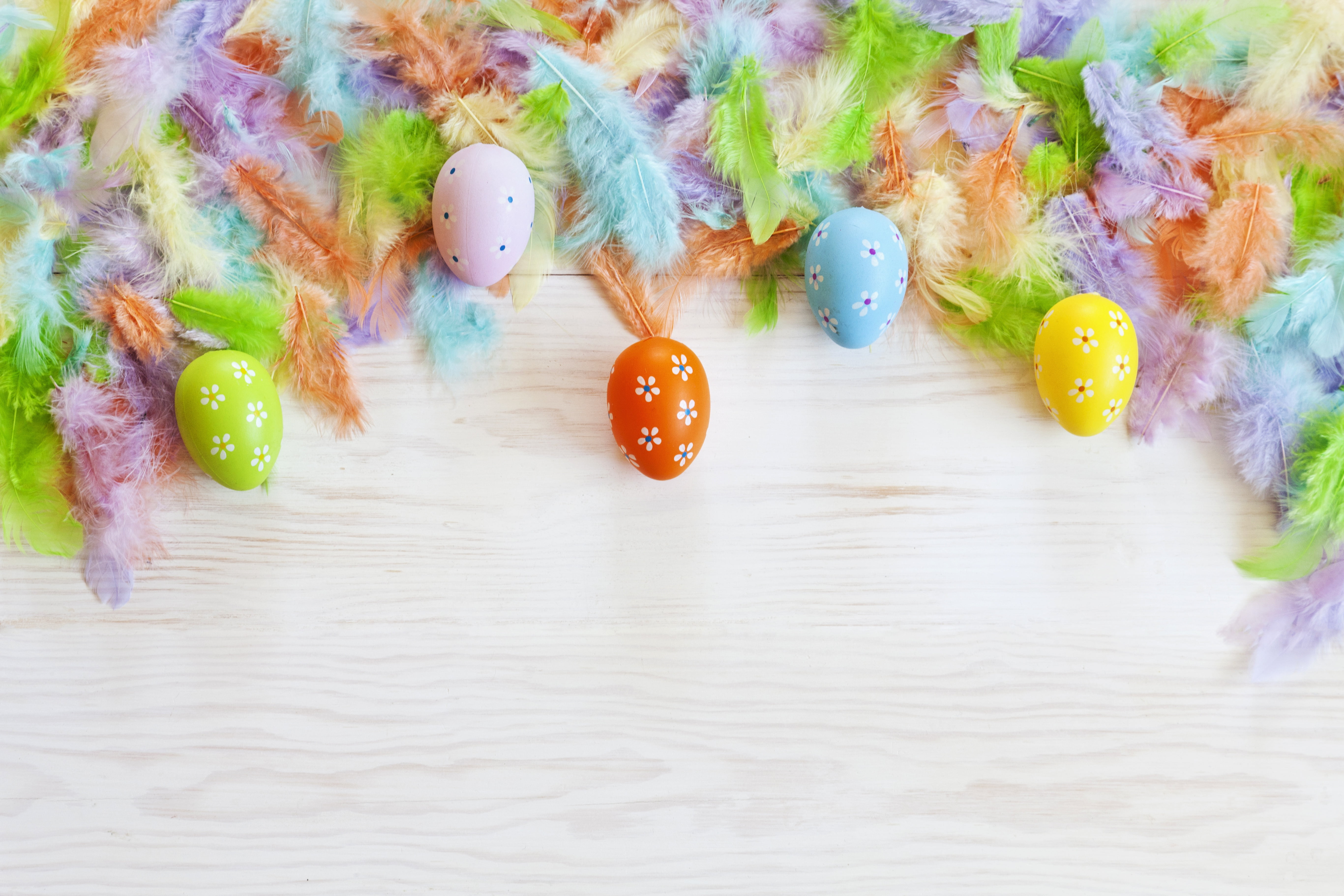 Holiday, Easter, Easter Egg, Feather