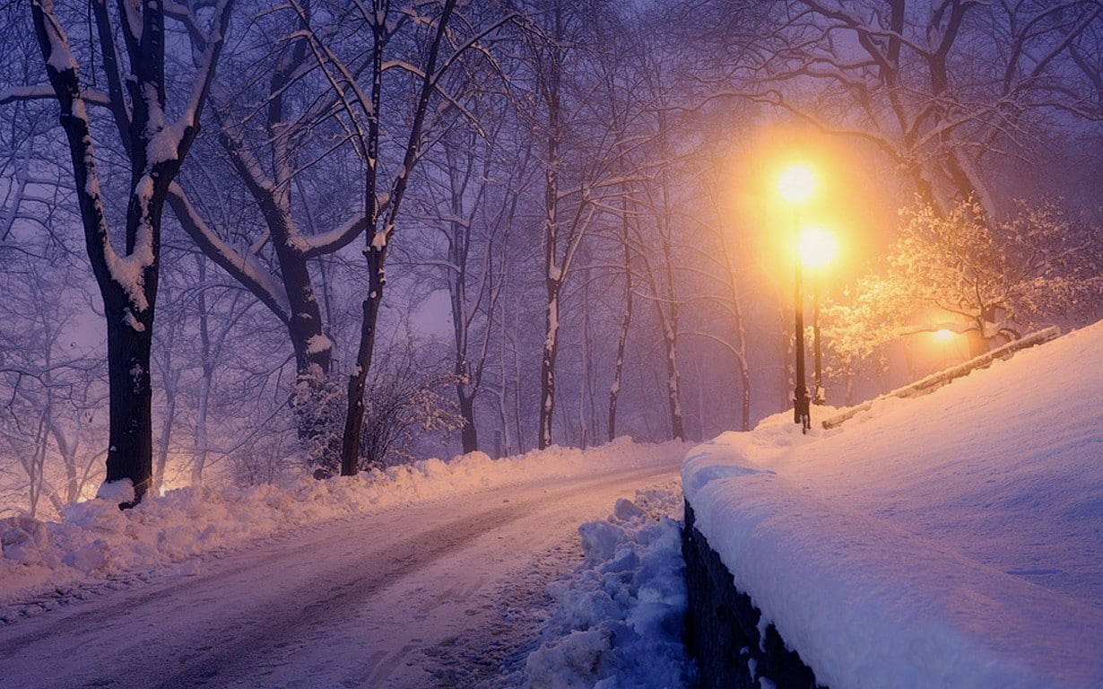 nature, landscape, lantern, winter, park, snow, trees, lights