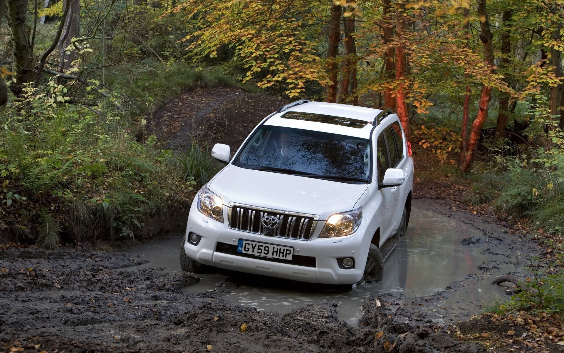 white Toyota SUV, forest, trees, nature, dirt, land cruiser, car