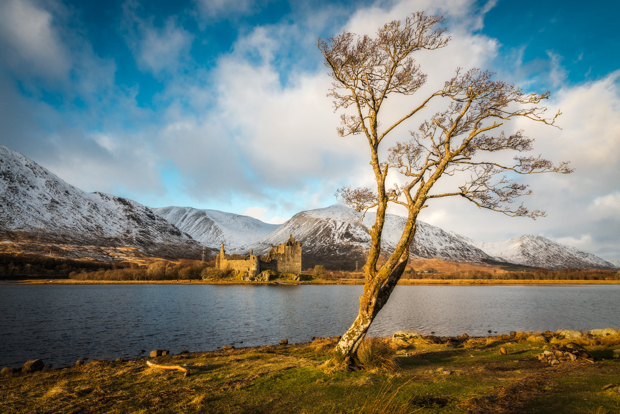 bare tree near pond at daytime, Castle, snow, scotland, hills