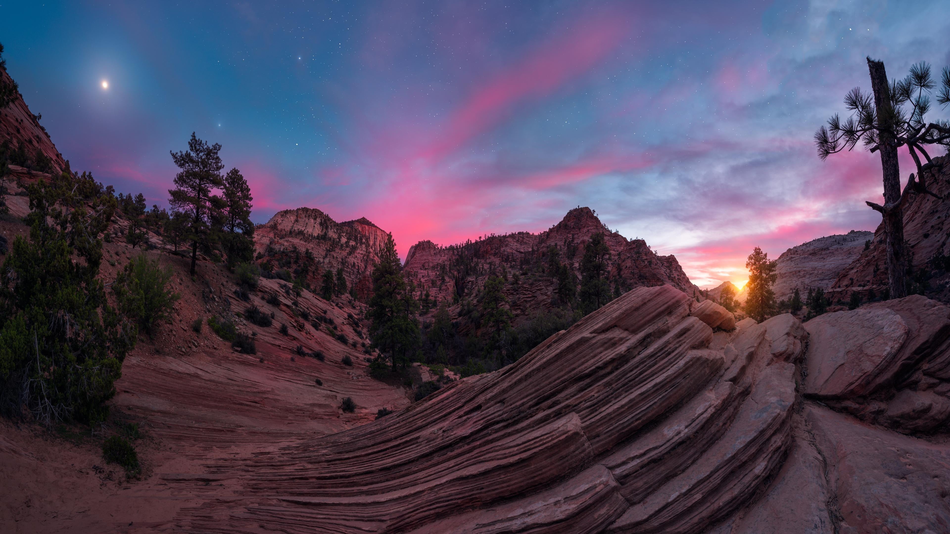 starry sky, night sky, zion national park, utah, united states