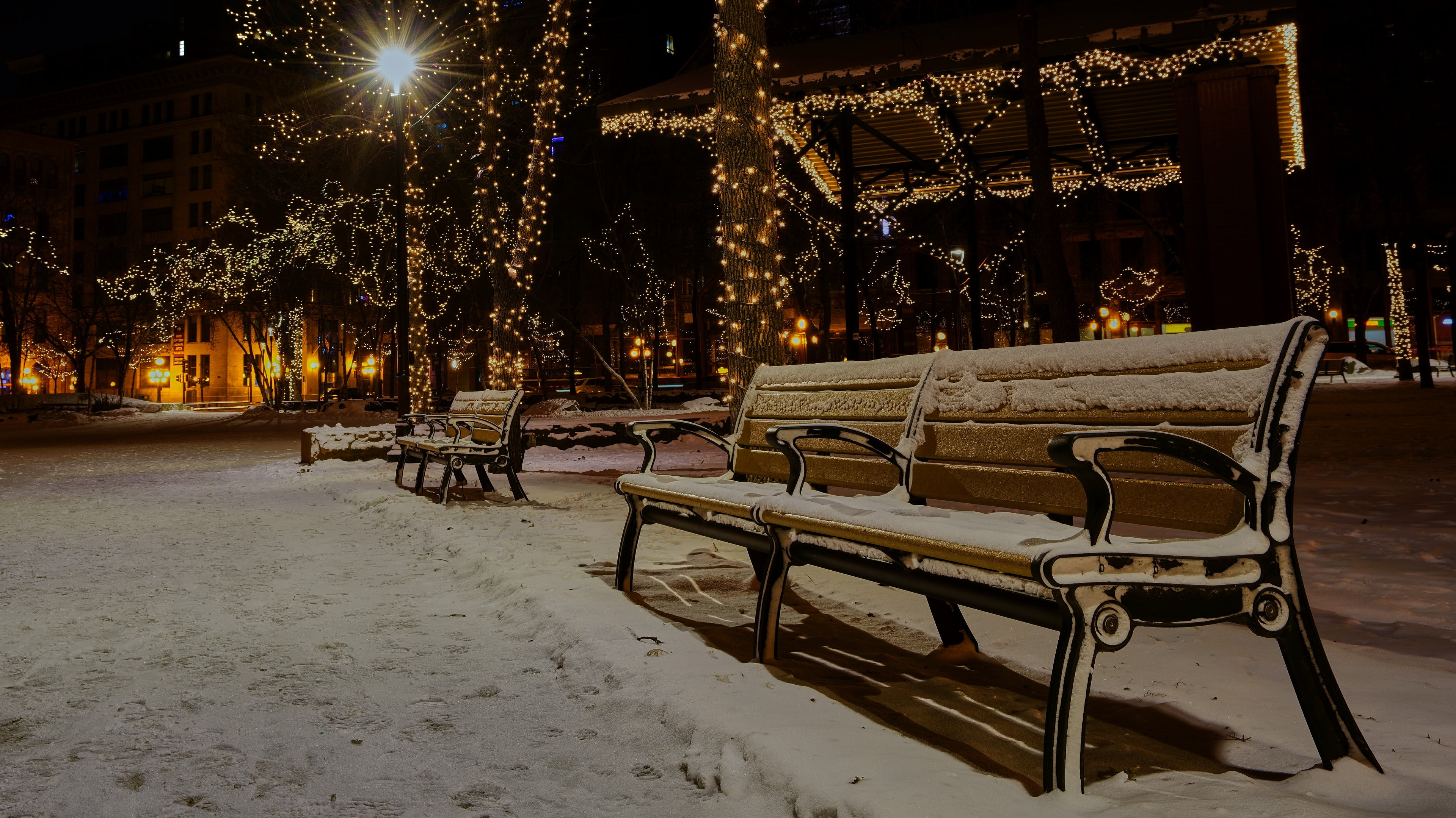 winter, snow, bench, park, tree, chrismas lights, christmas season
