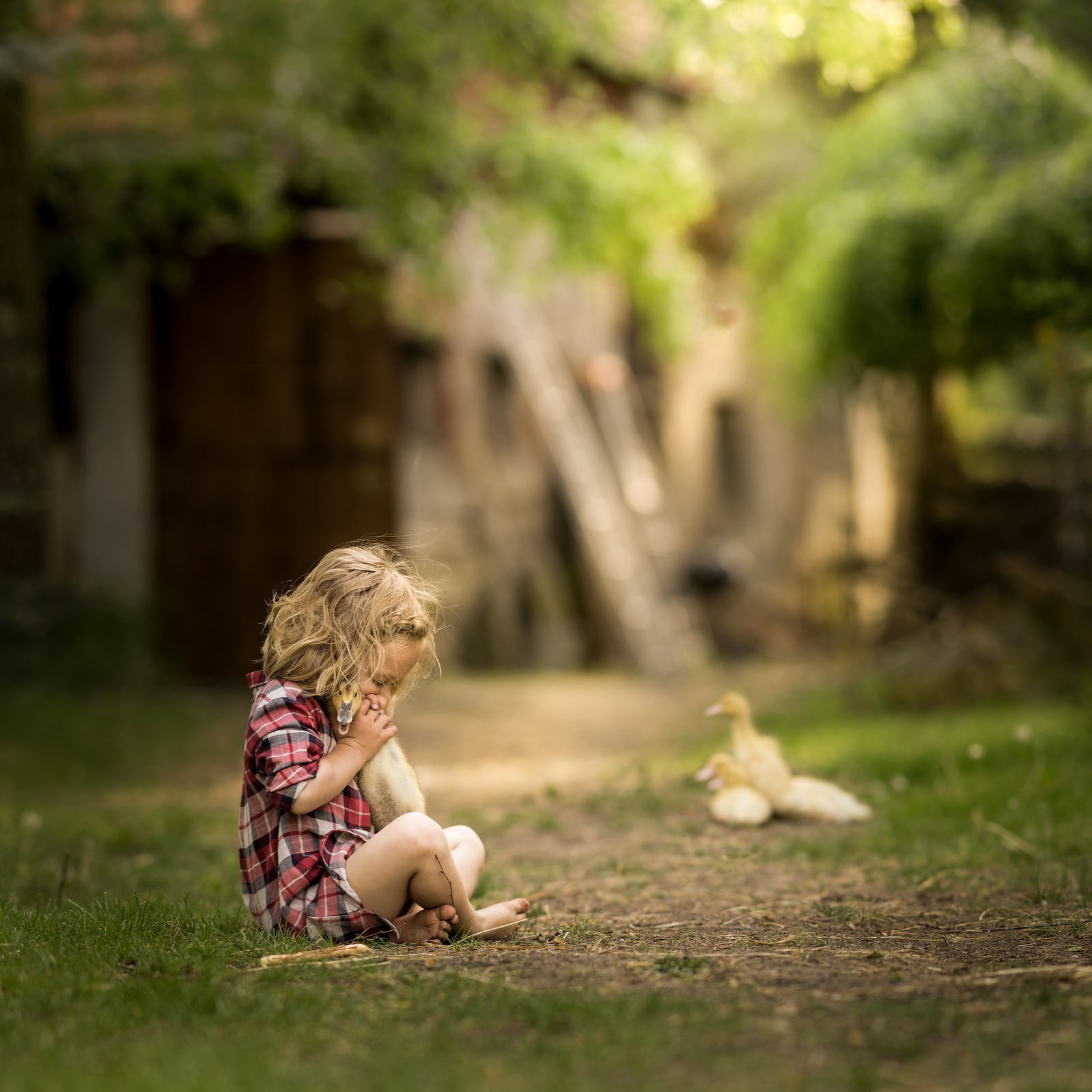 baby, duck, love, path, photography, childhood, one person
