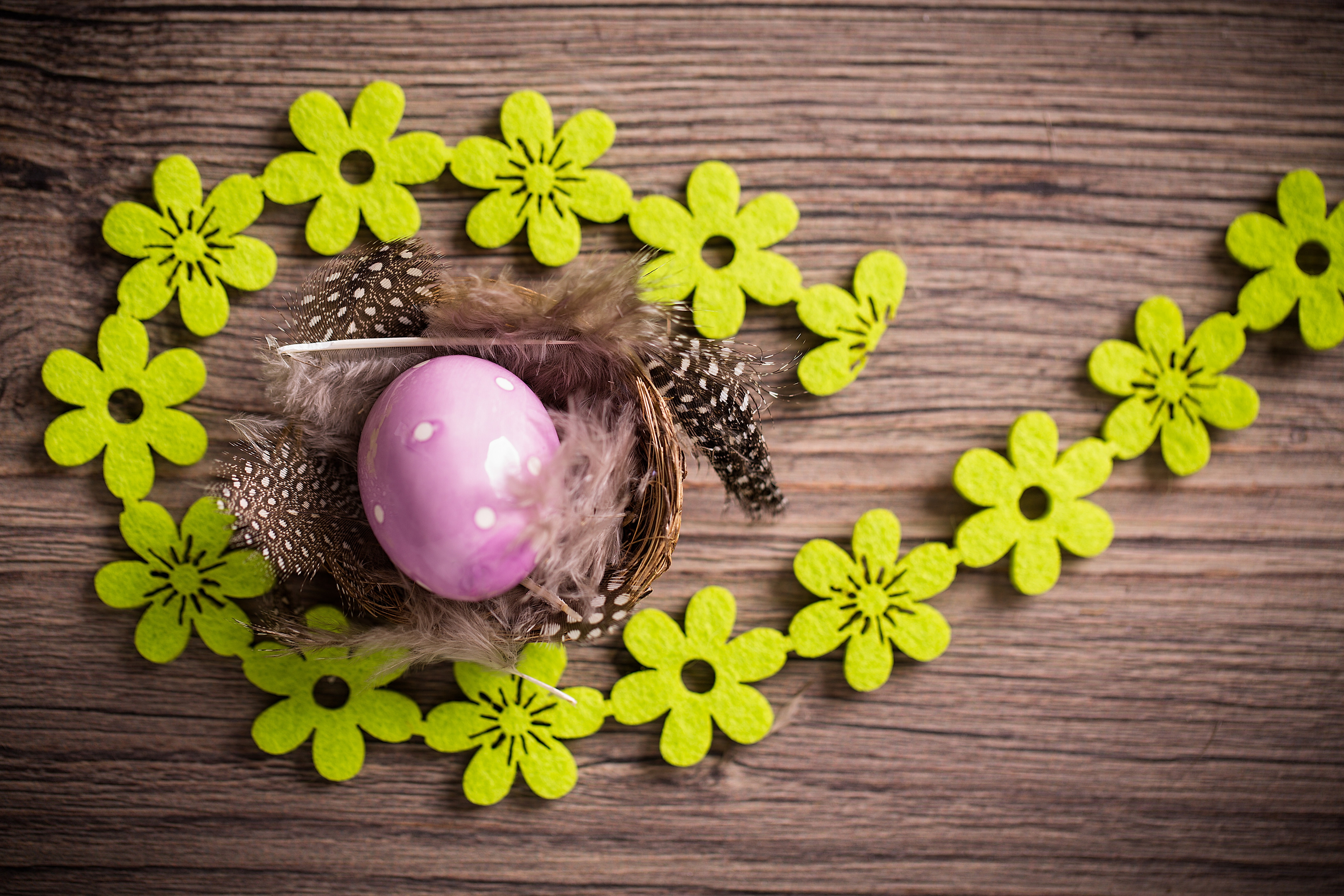 eggs, Easter, Easter eggs, happy easter